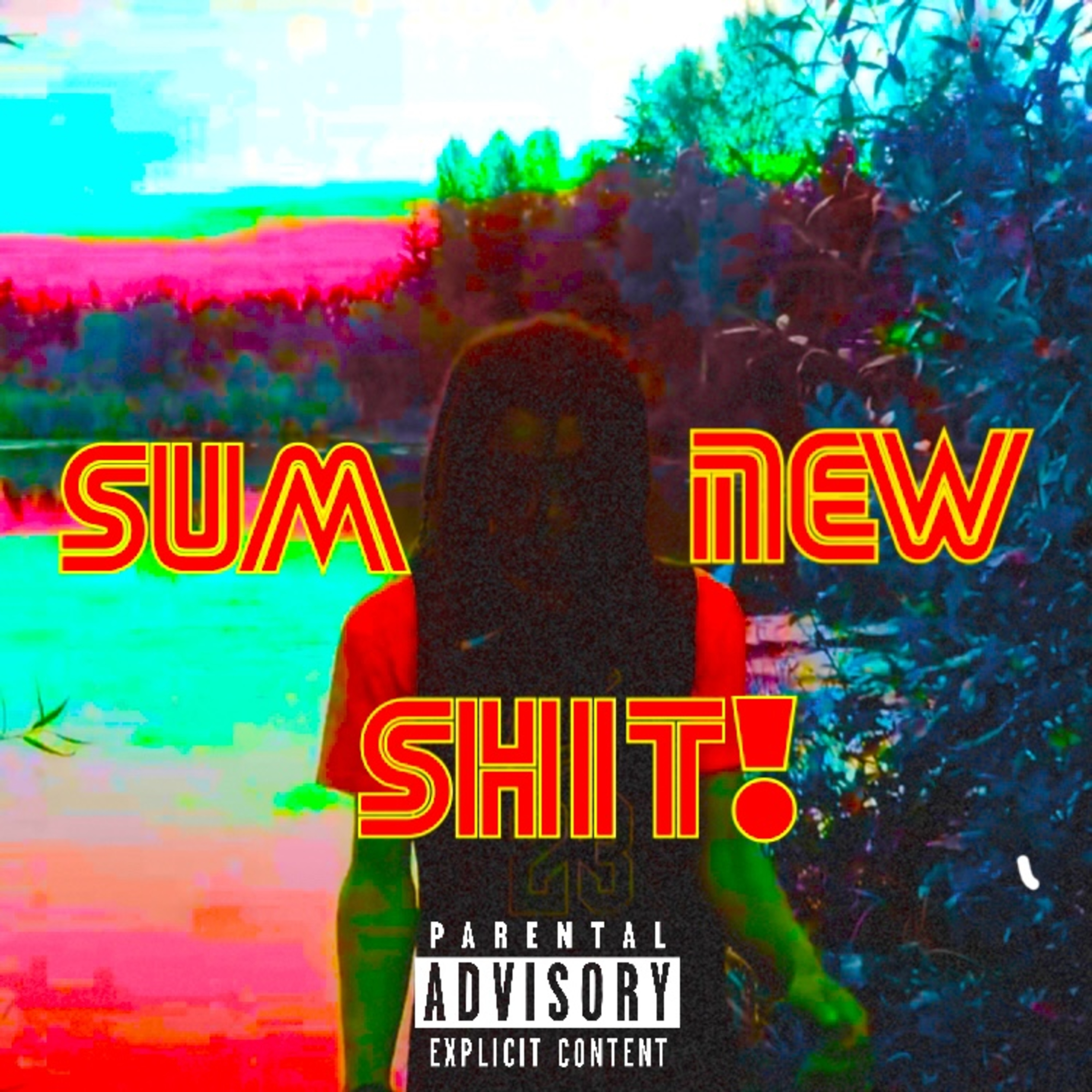 Sum New Sh!t! artwork