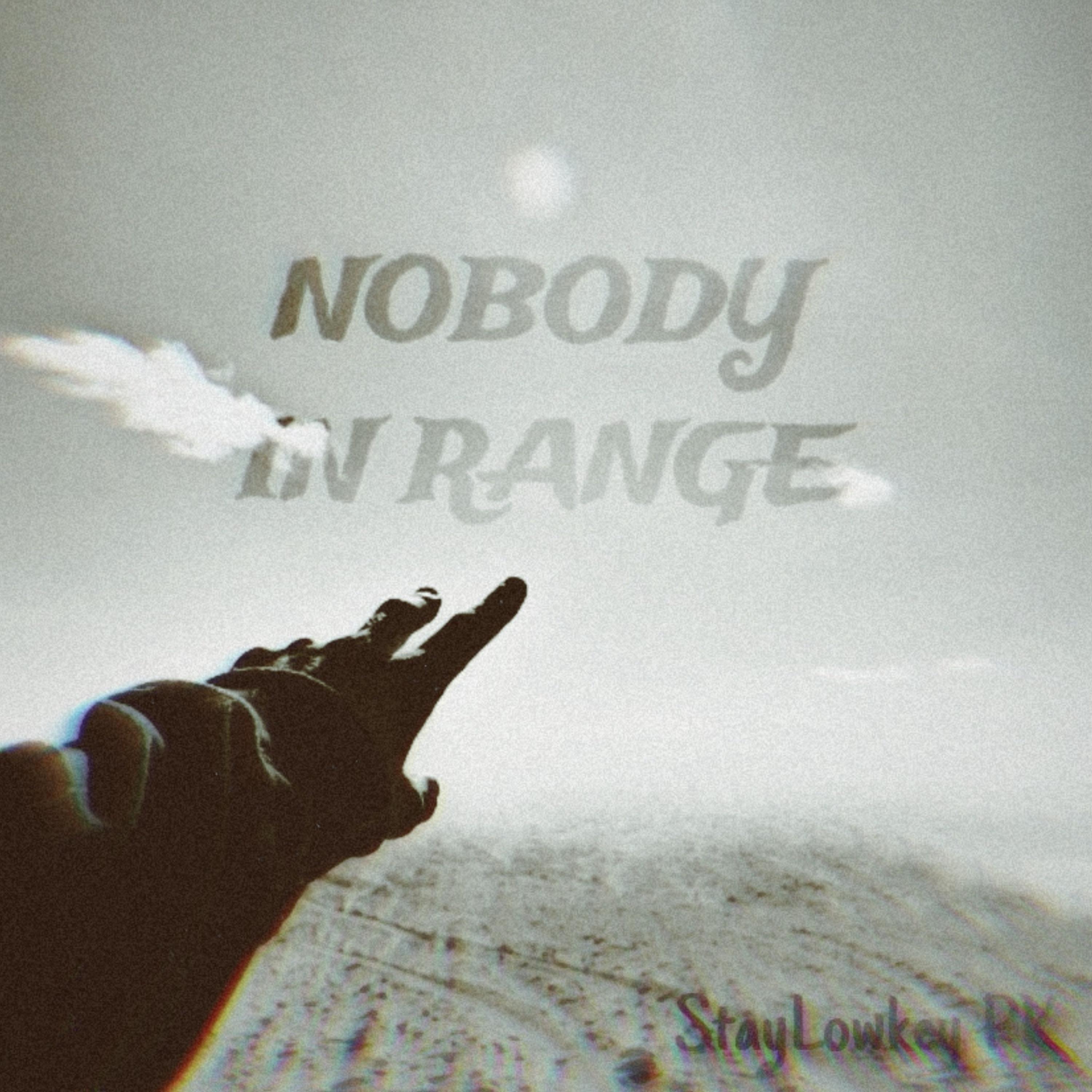 NOBODY IN RANGE artwork