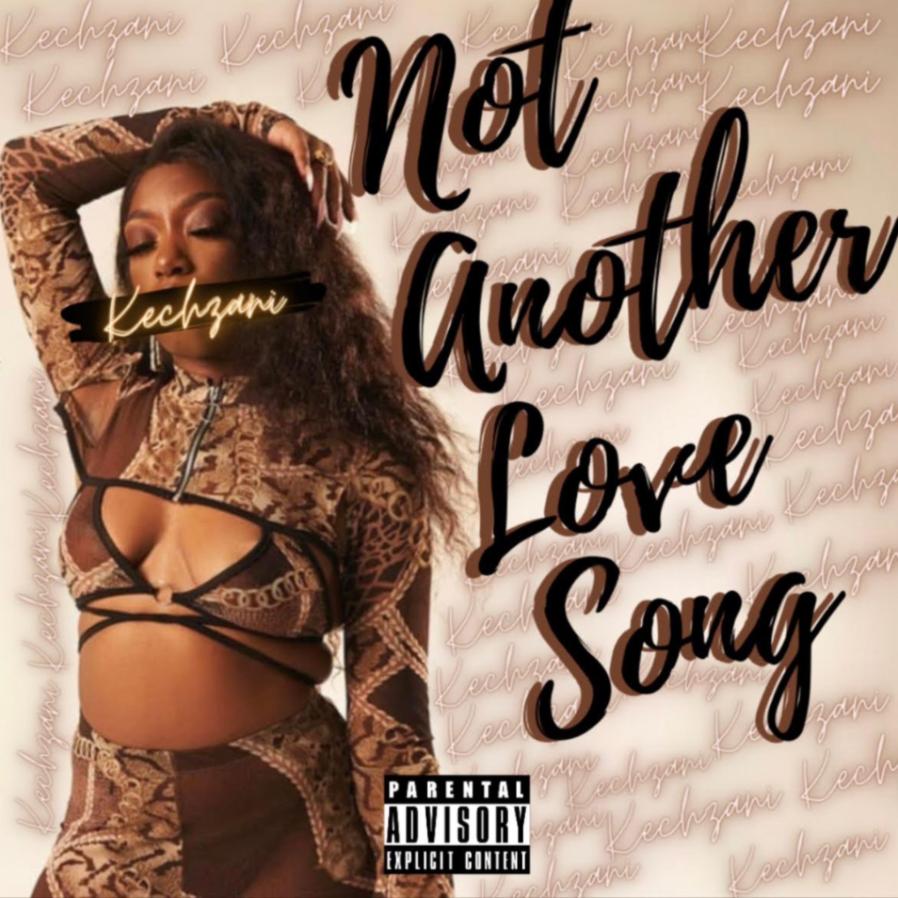 Not Another Love Song artwork