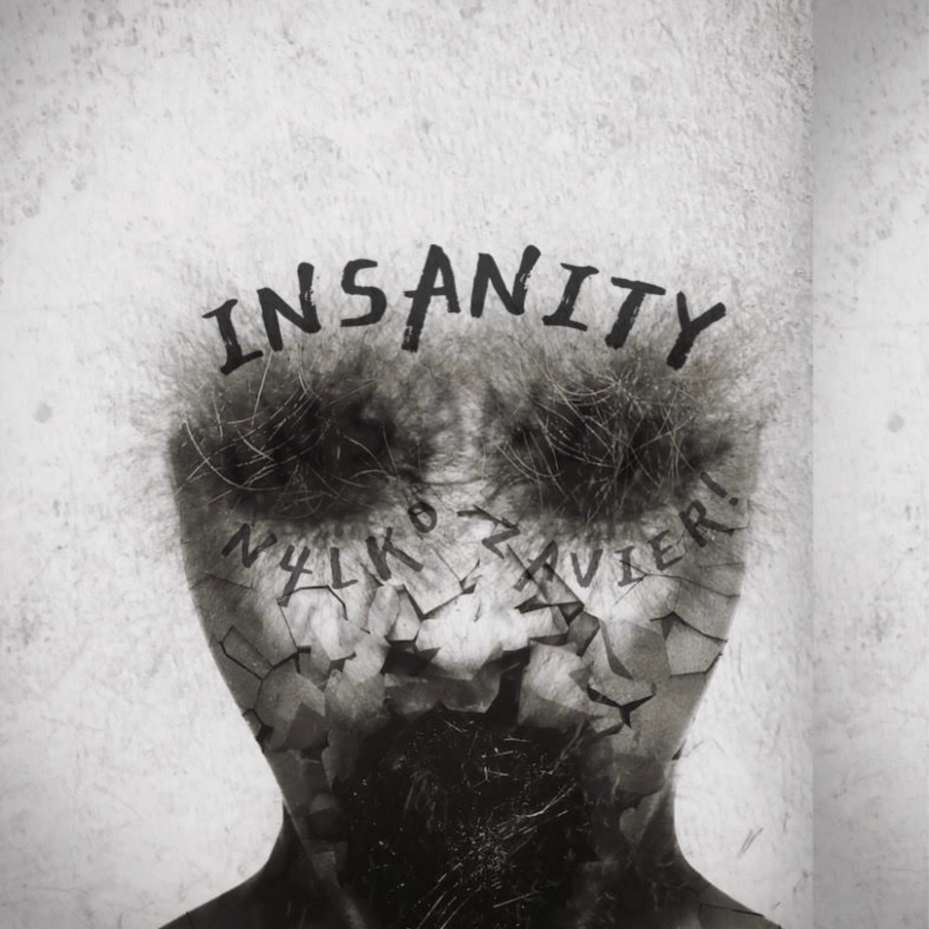 IN-SANITY! artwork