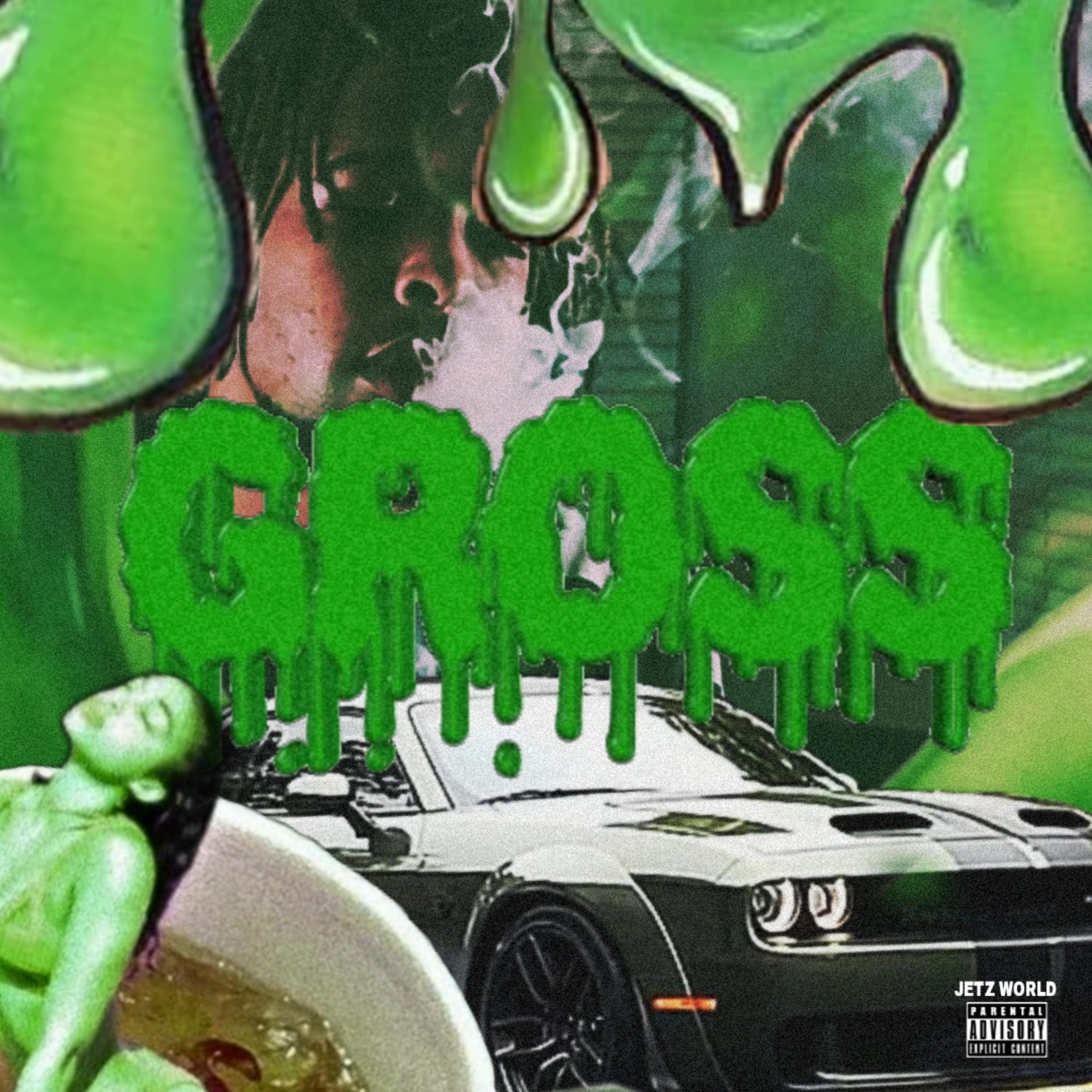 GROSS artwork