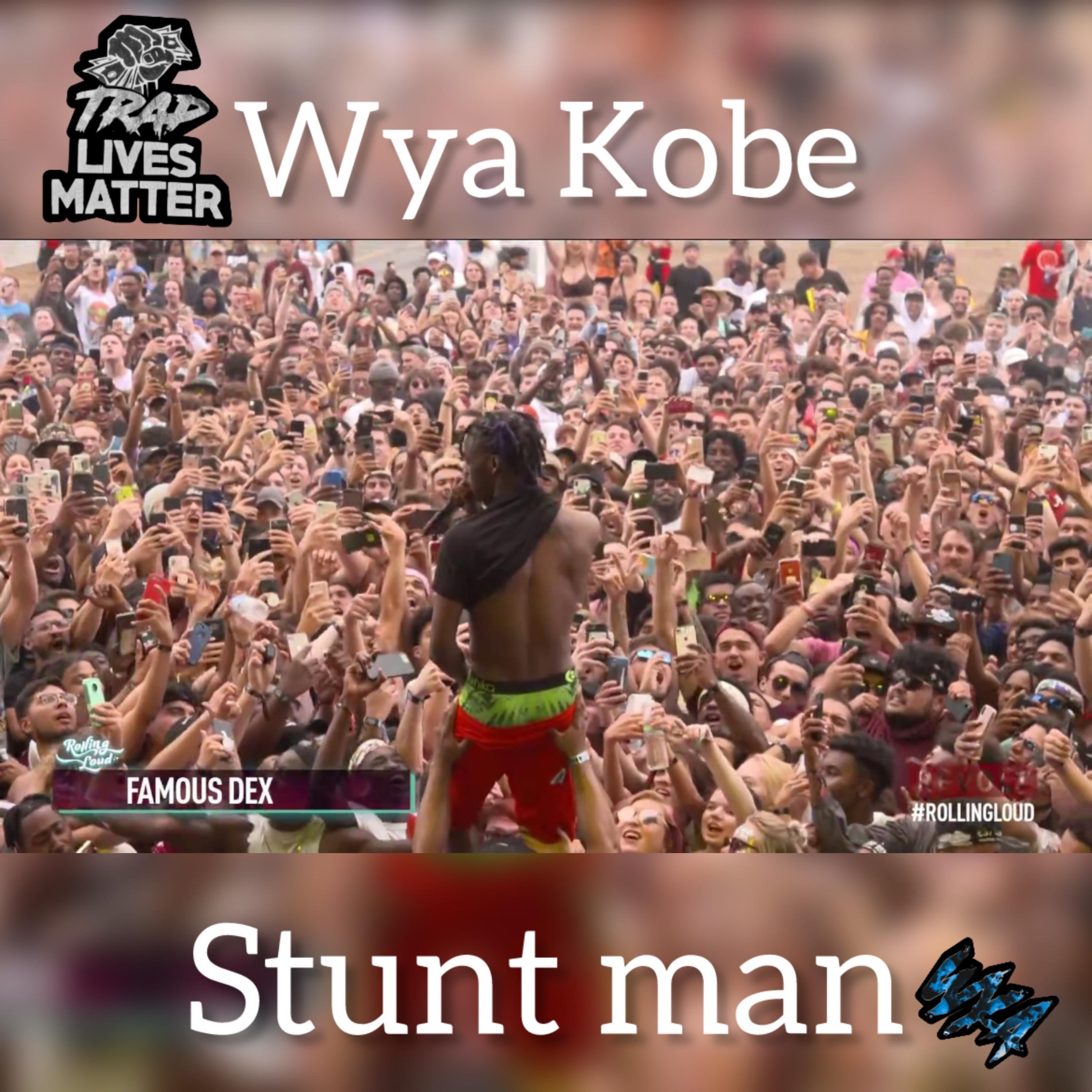 Stunt Man artwork