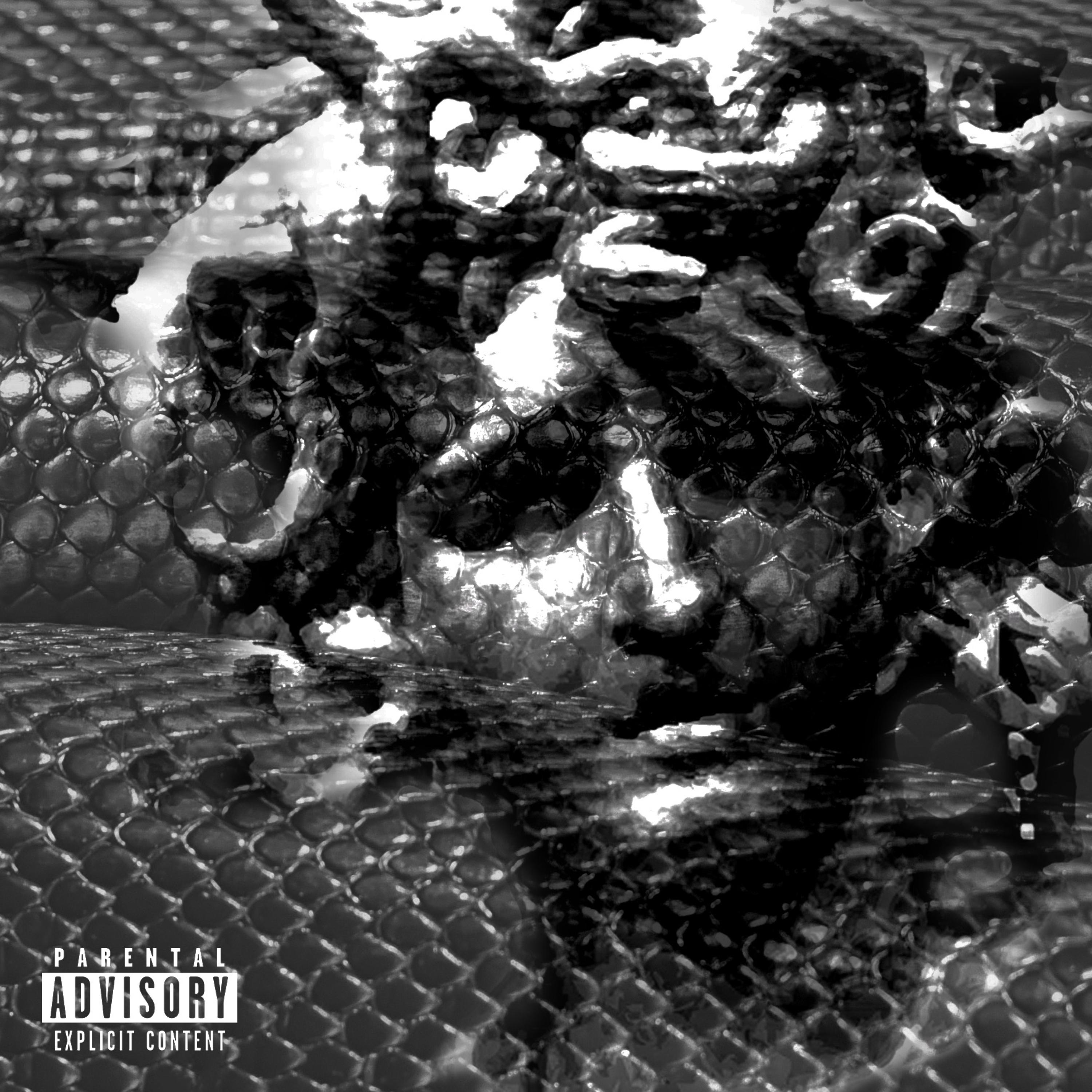 MEDUSA artwork