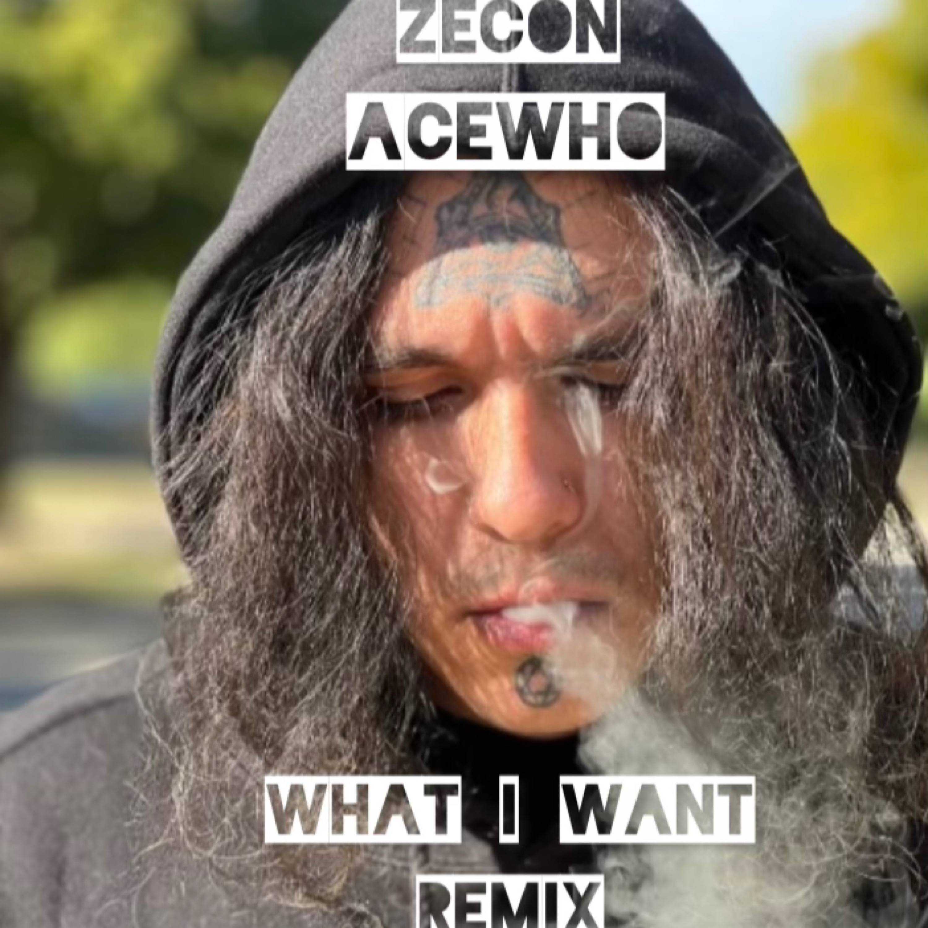 What I Want (Remix) artwork