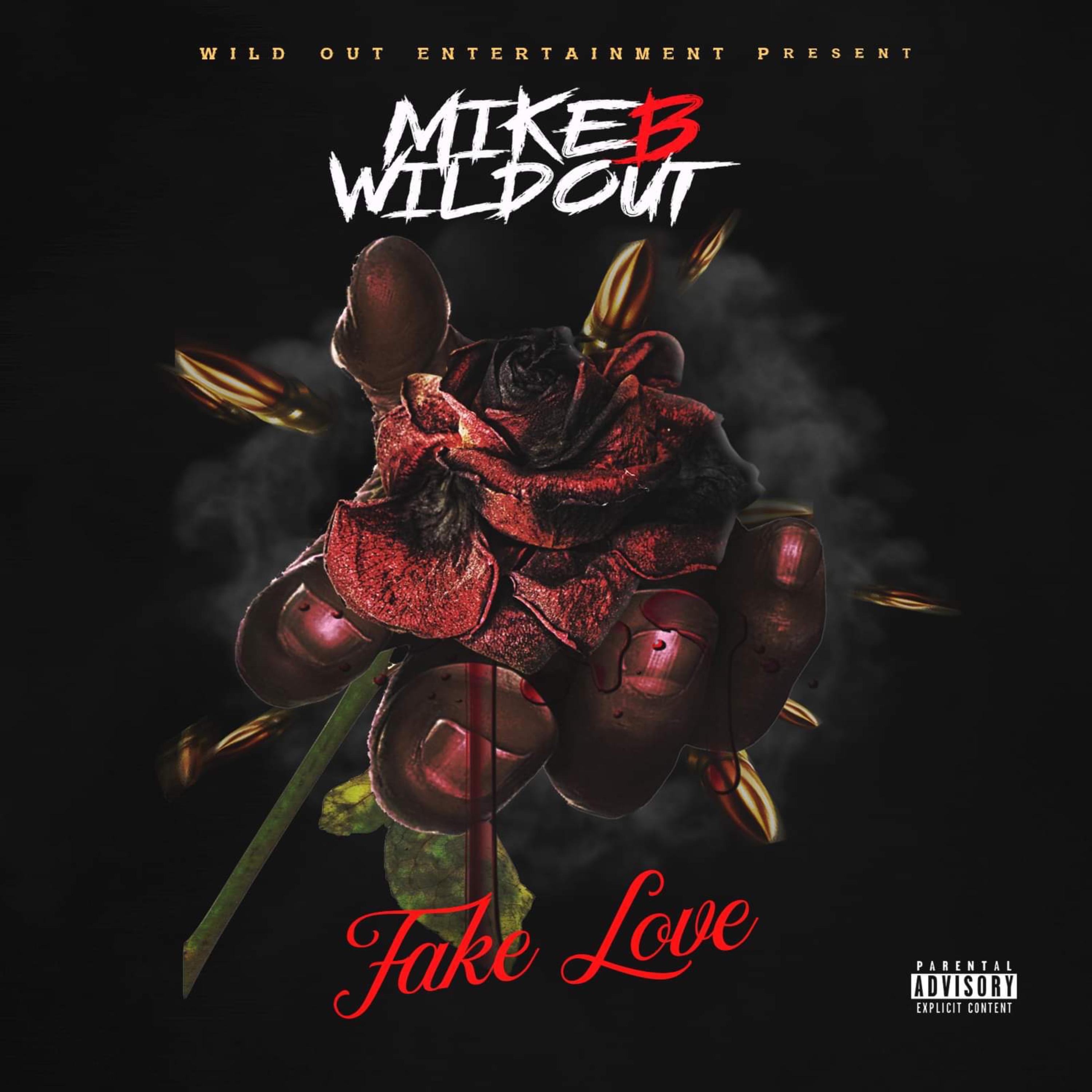 Fake Luv artwork