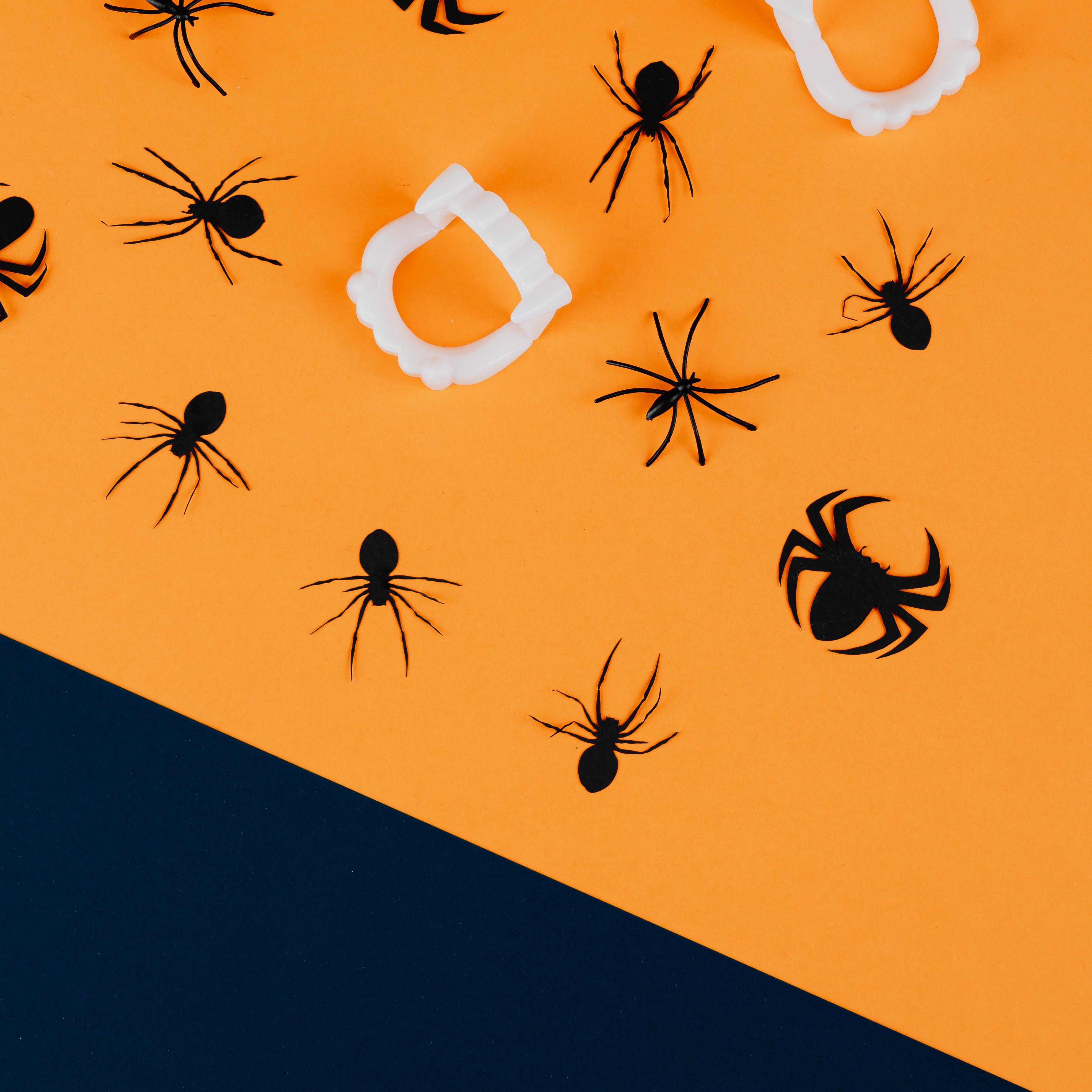 You And Your Crew artwork