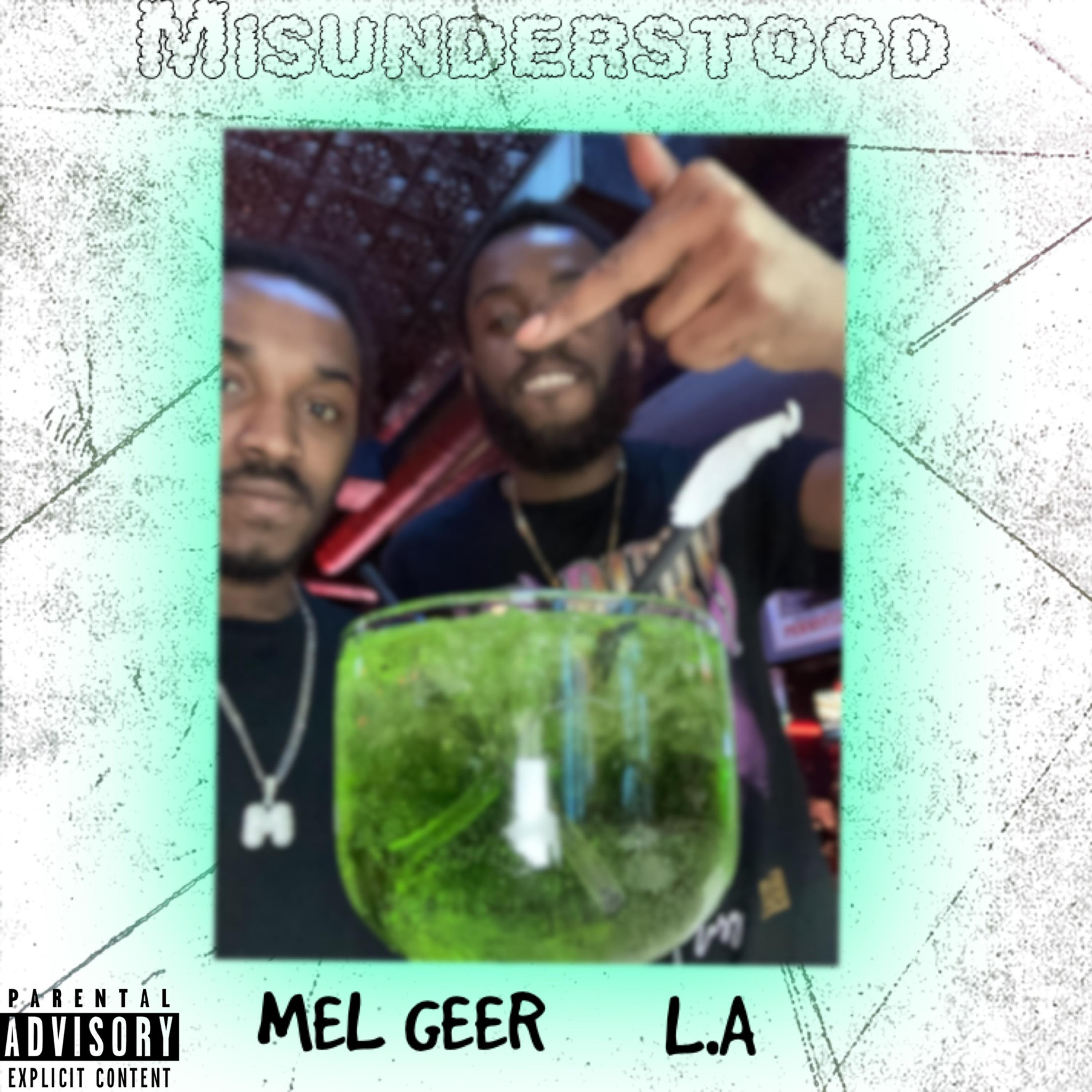 Misunderstood by Mel Geer cover art