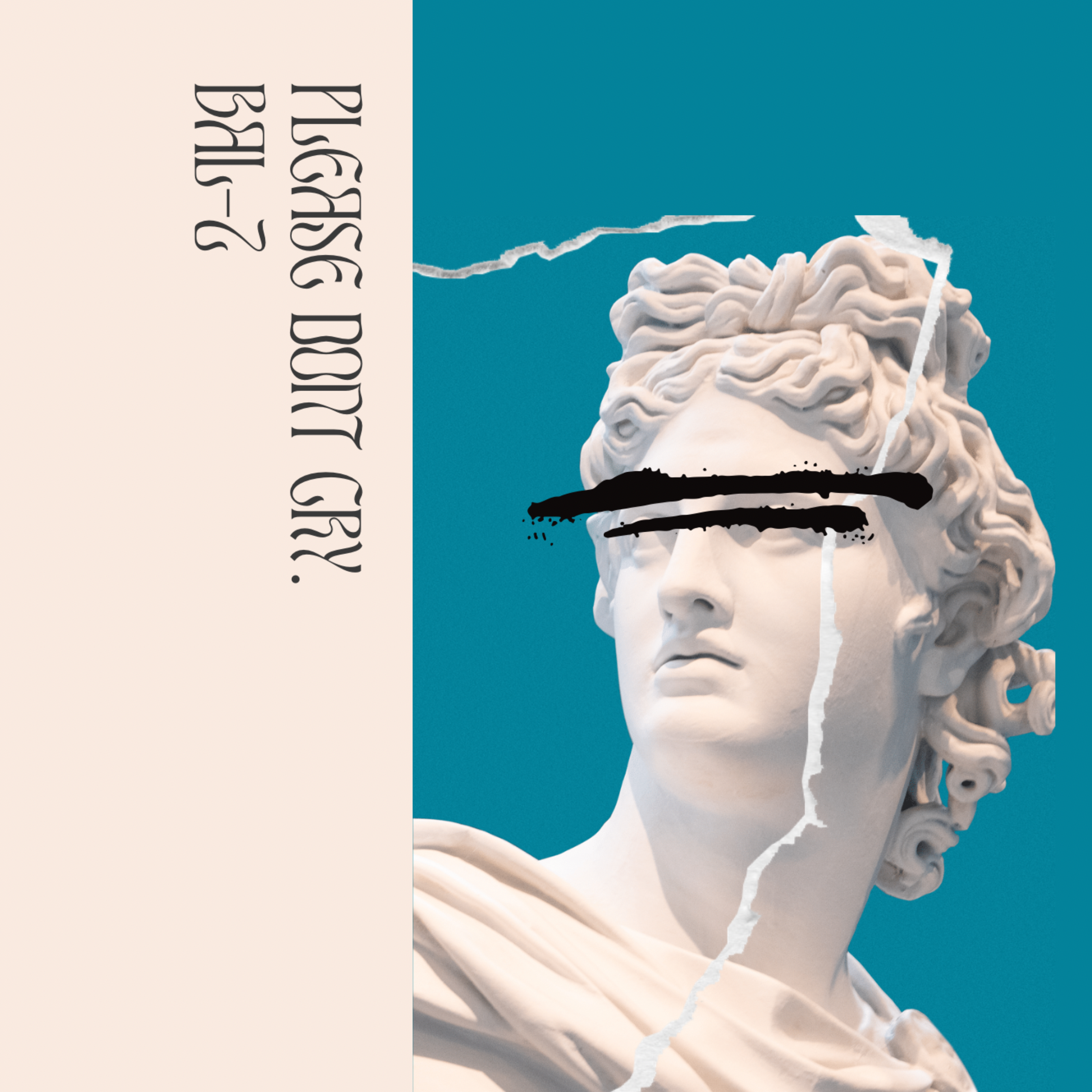 Please Dont Cry by BaL-Z cover art