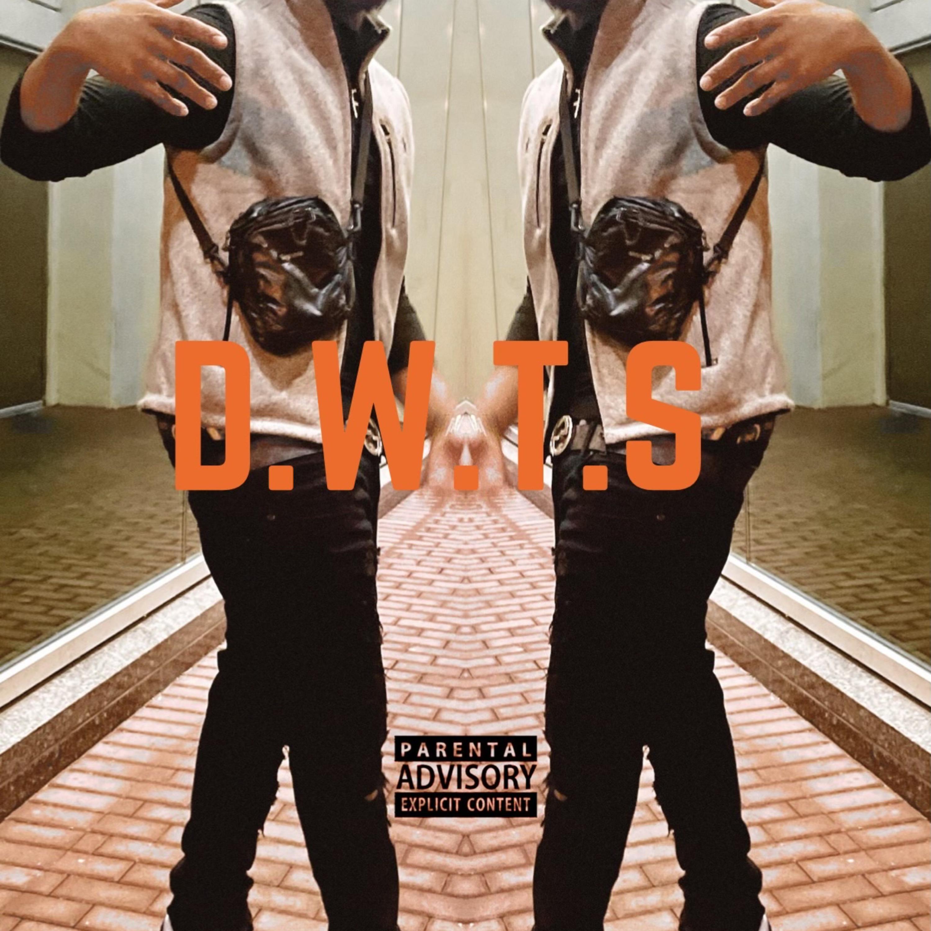 D.W.T.S artwork