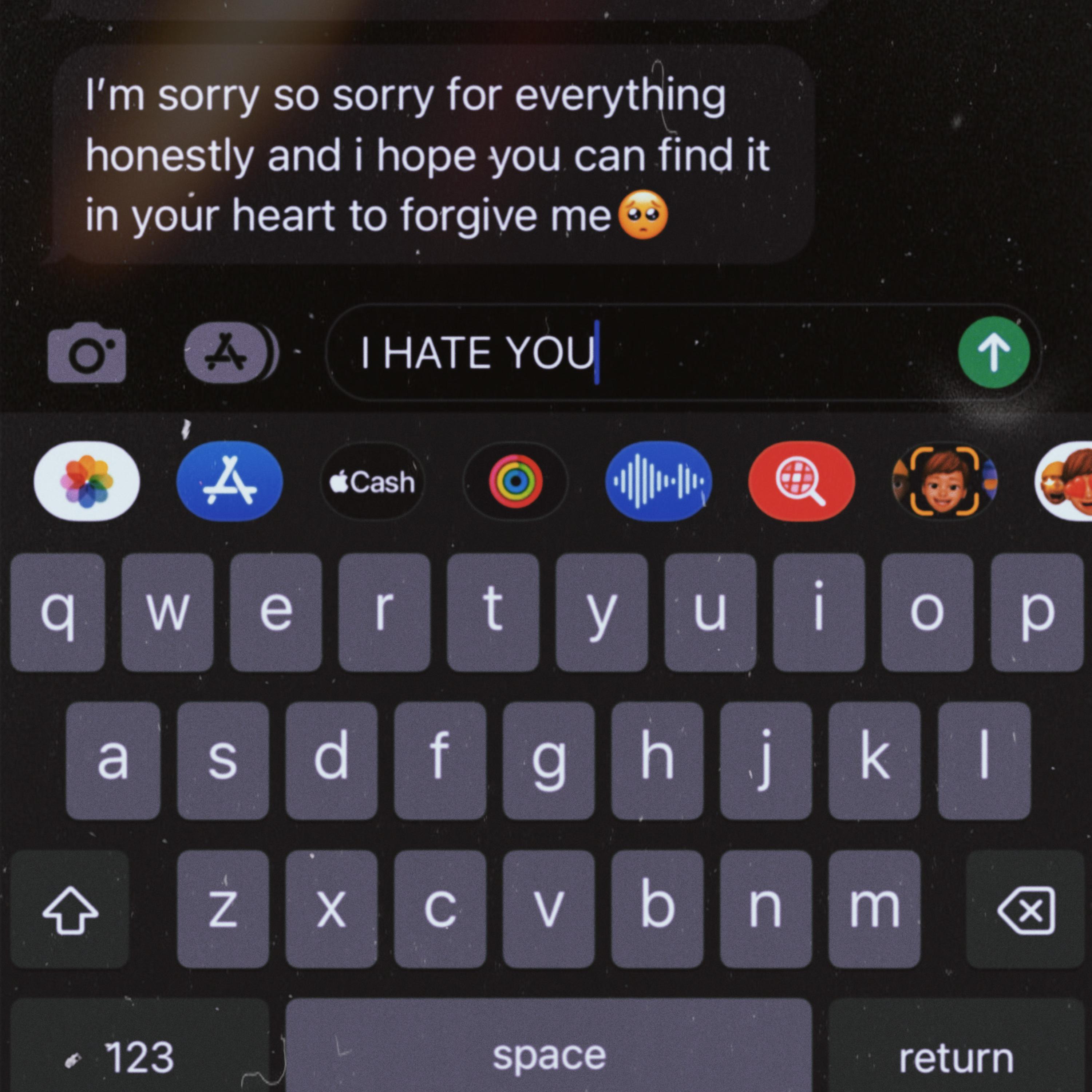 I Hate You artwork