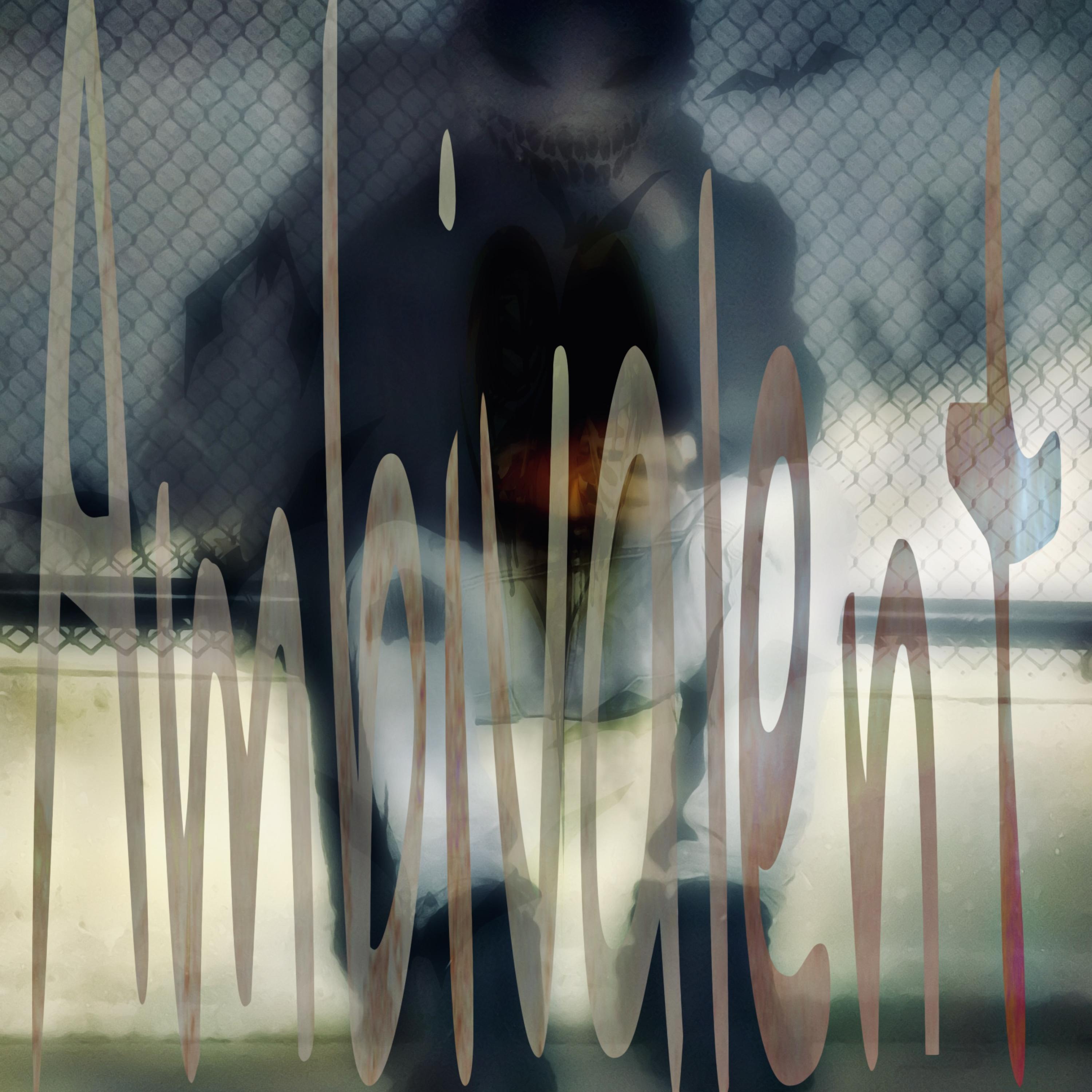 AmbiValent artwork