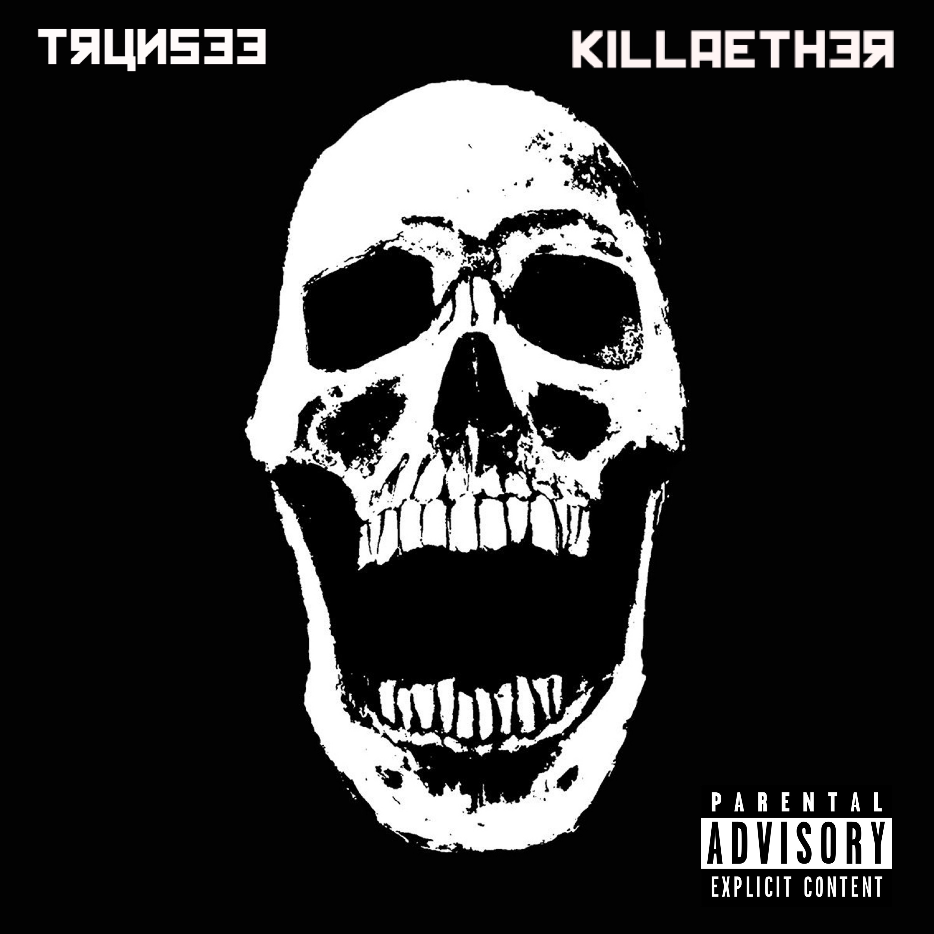 No Hook Pt. 1 artwork