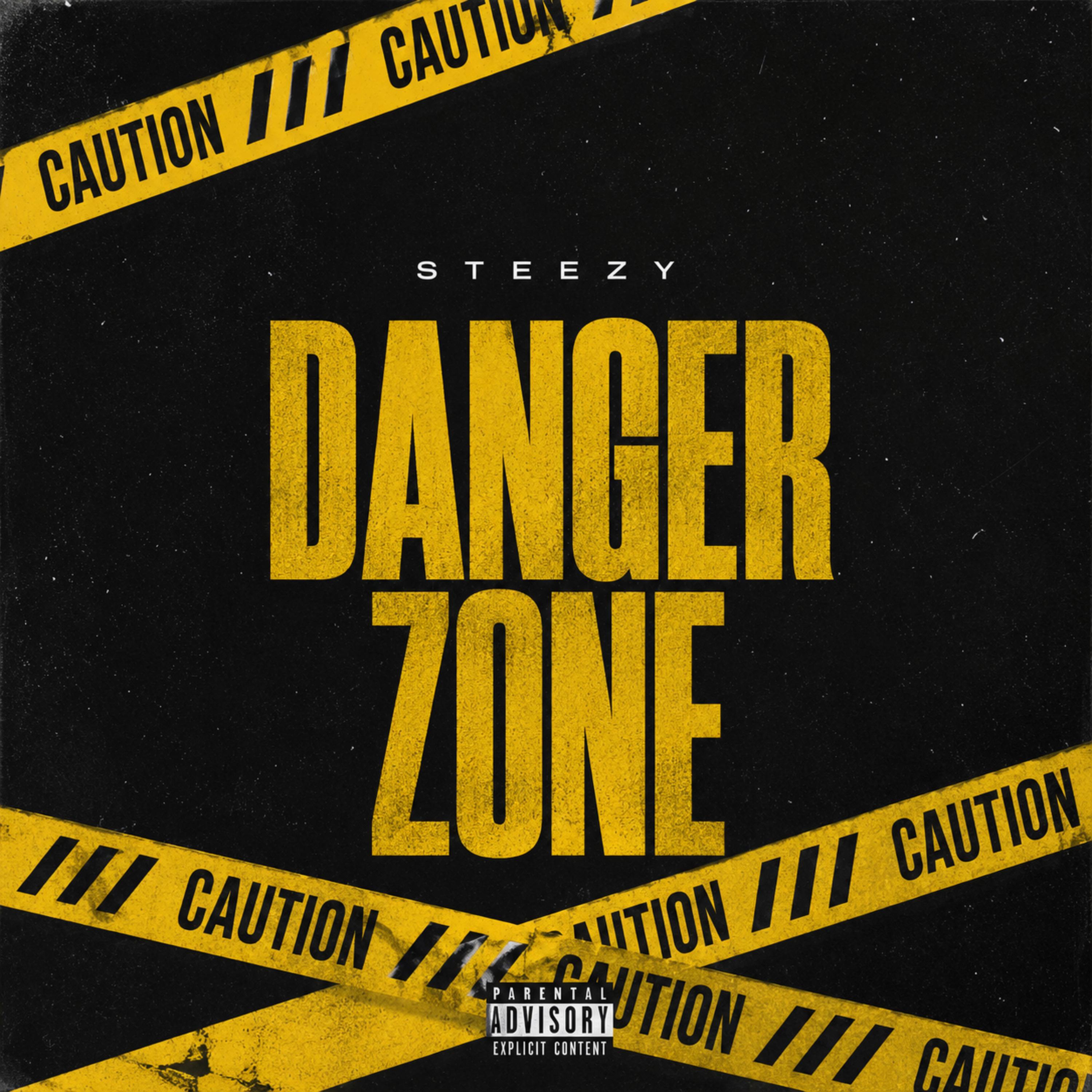 DANGER ZONE by STEEZY cover art