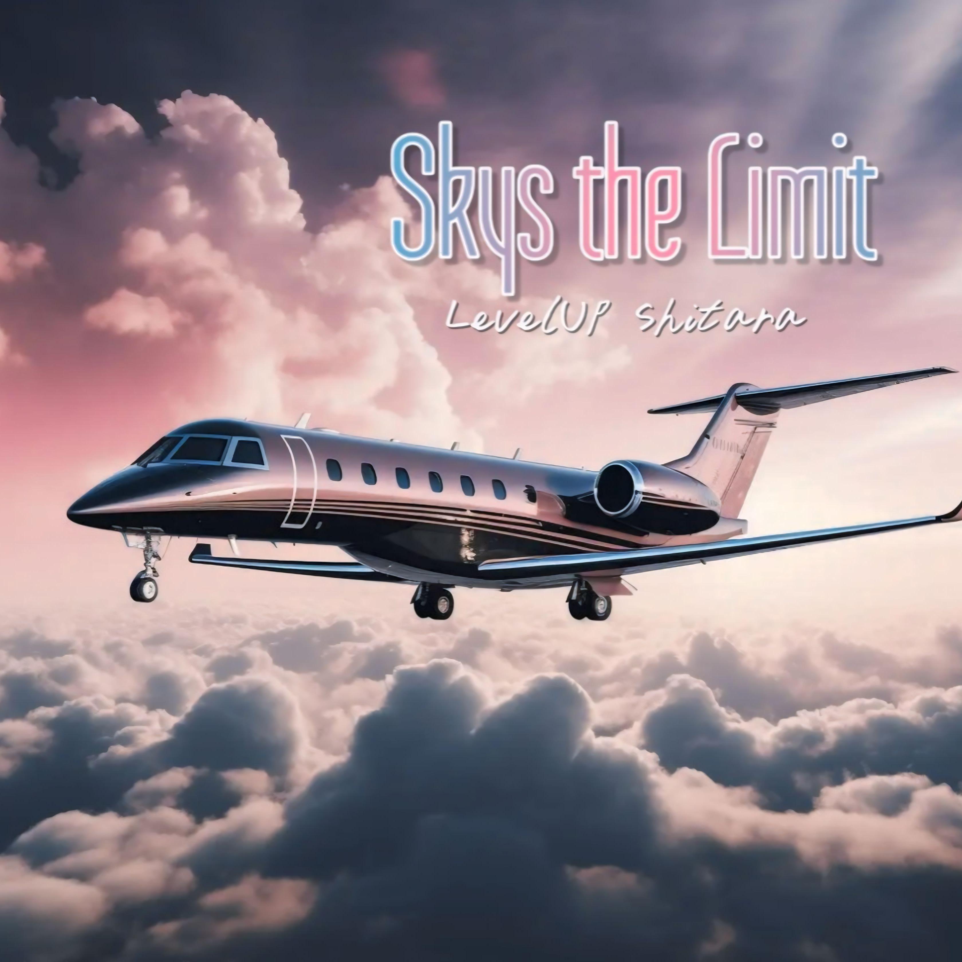 Skys the Limit artwork