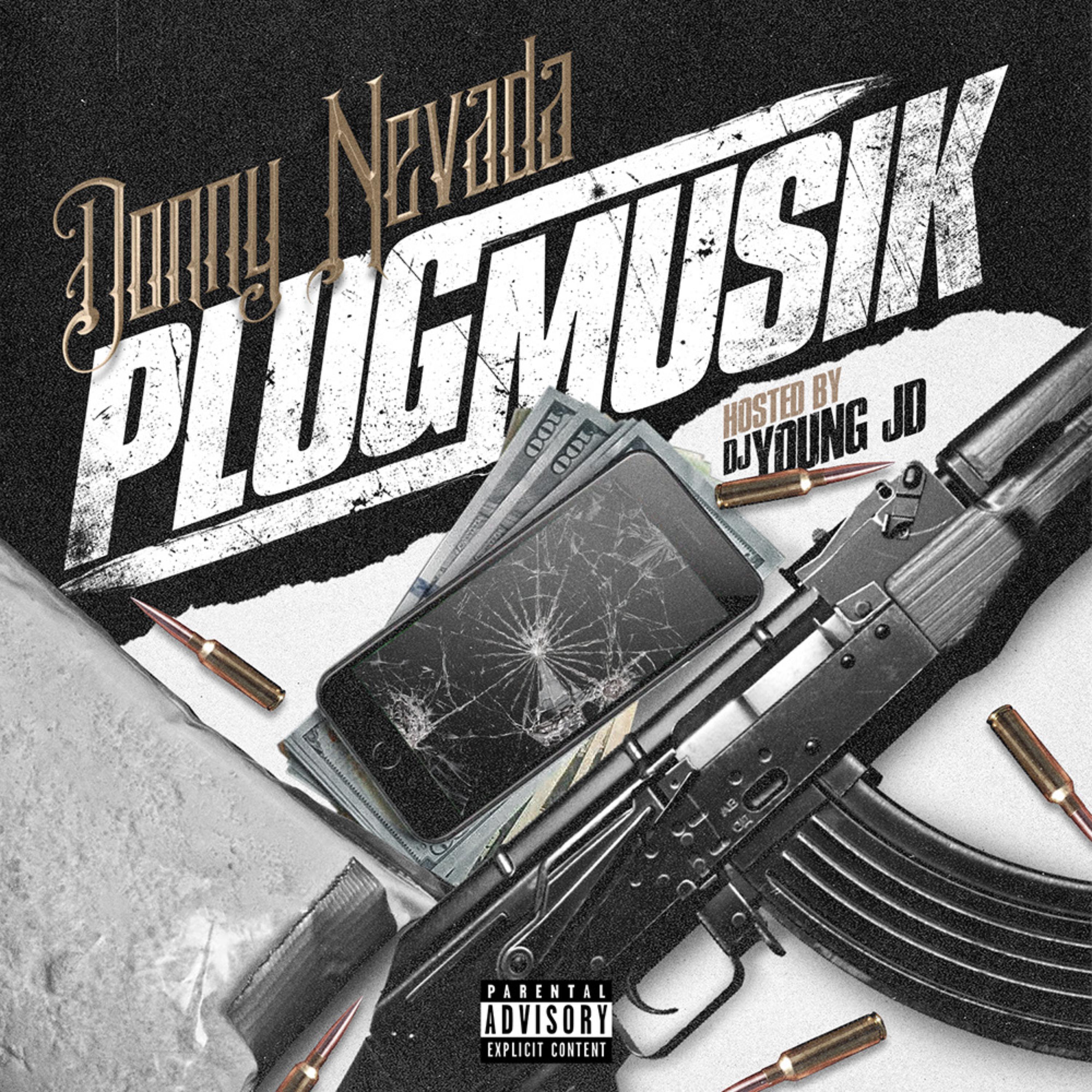 PluG Musik artwork