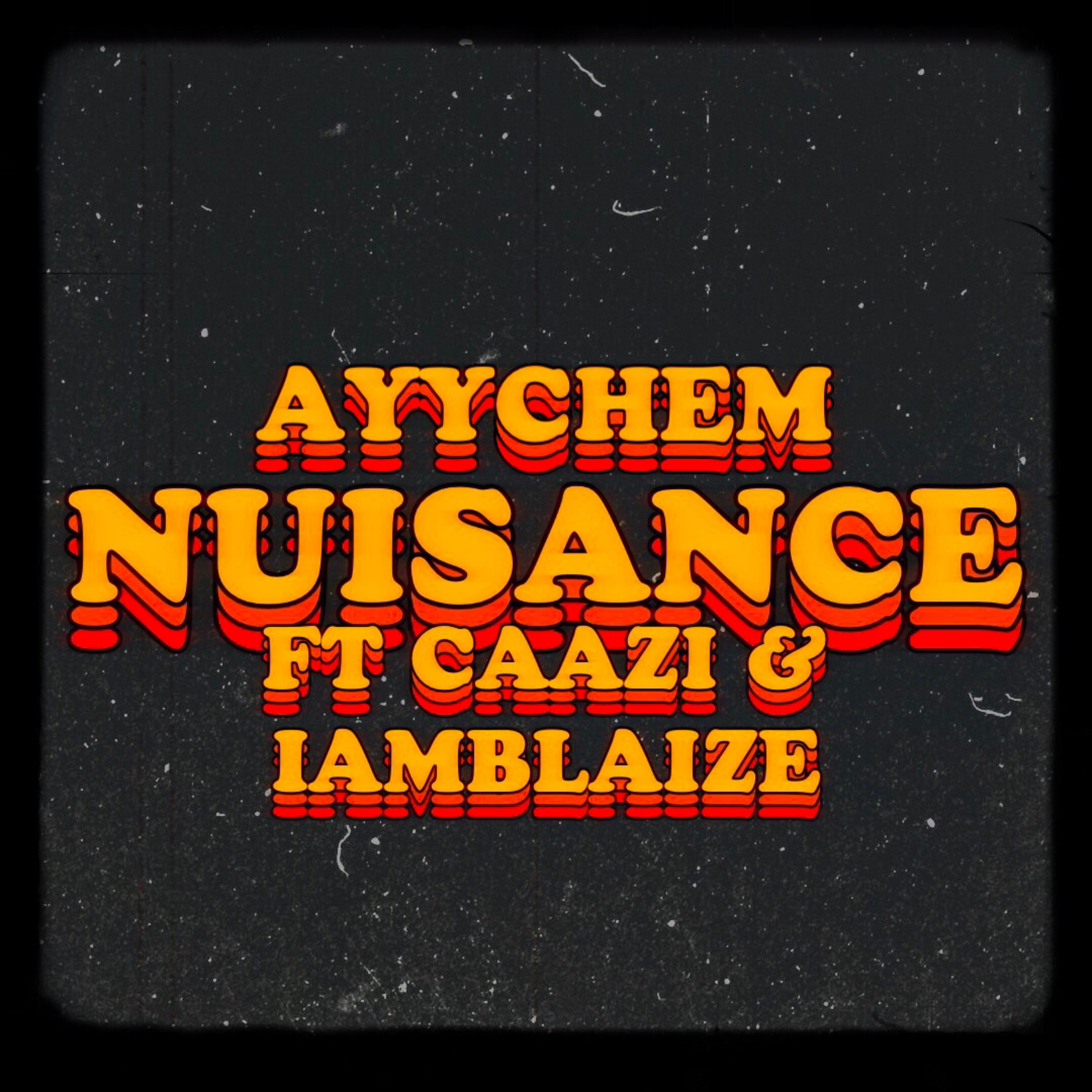 NUISANCE artwork