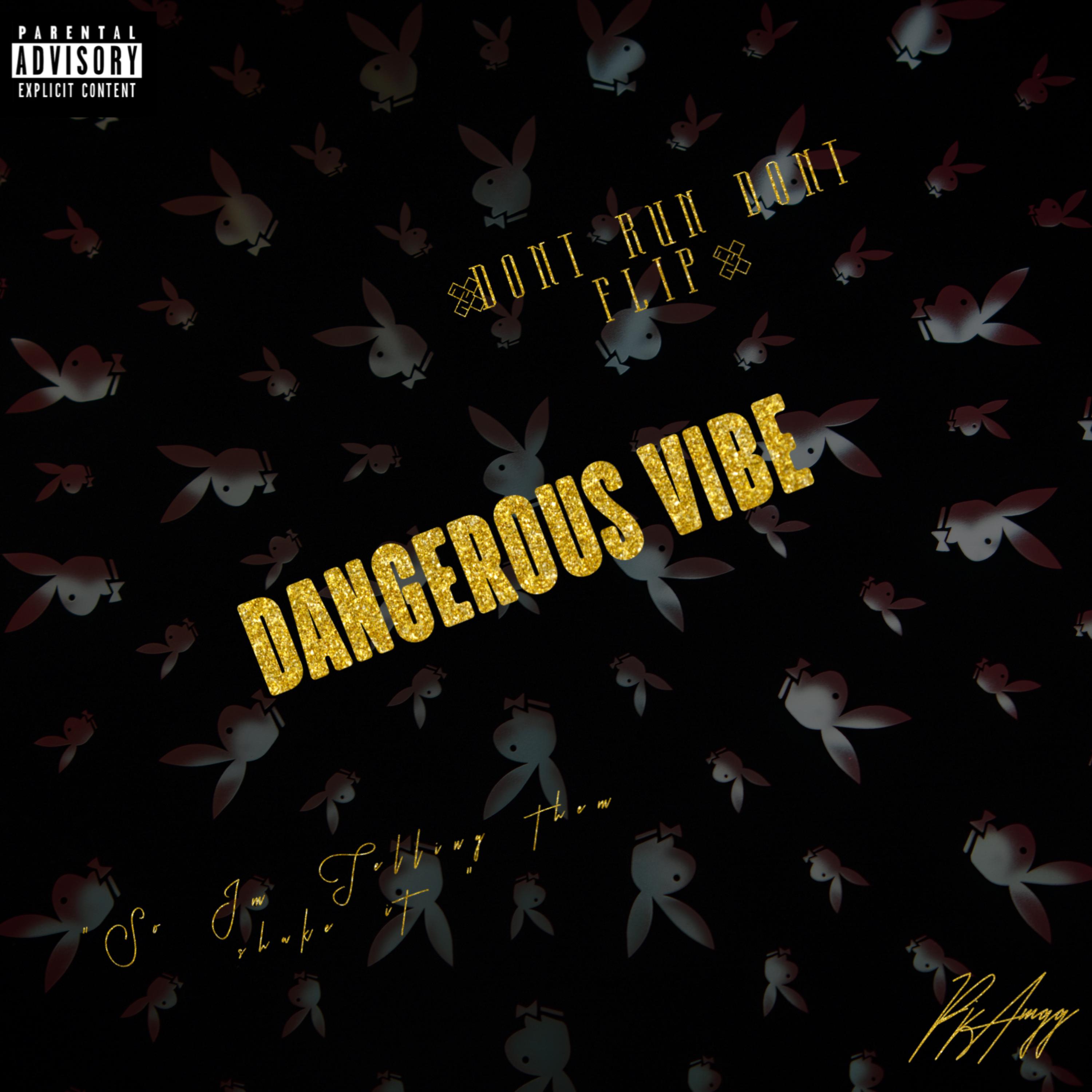 Dangerous Vibe artwork