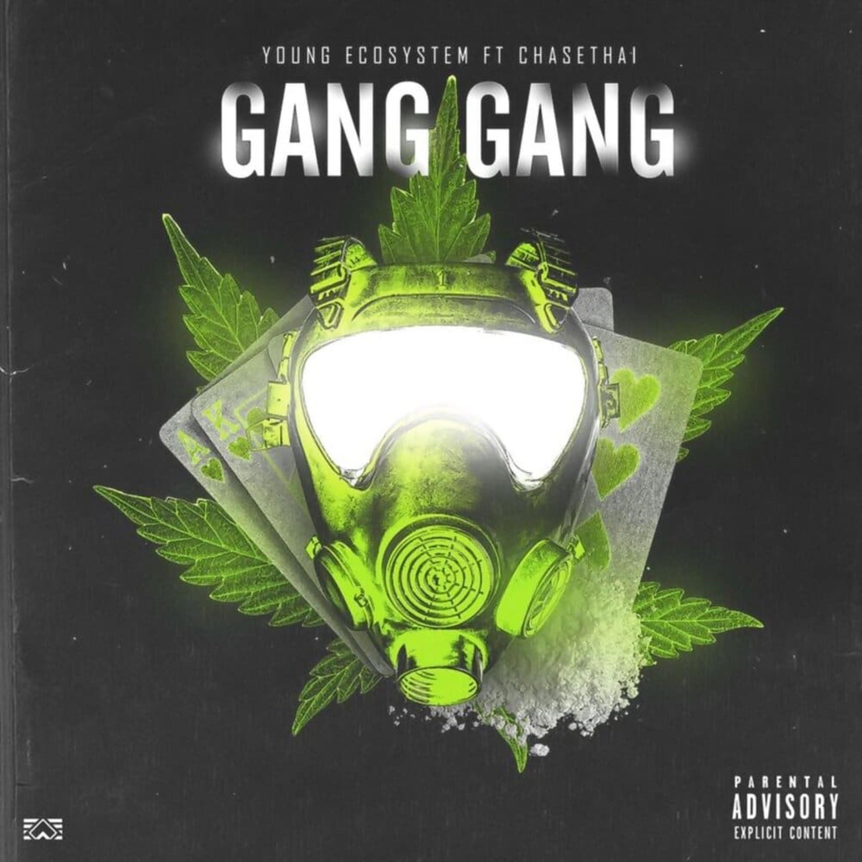 GANG GANG artwork