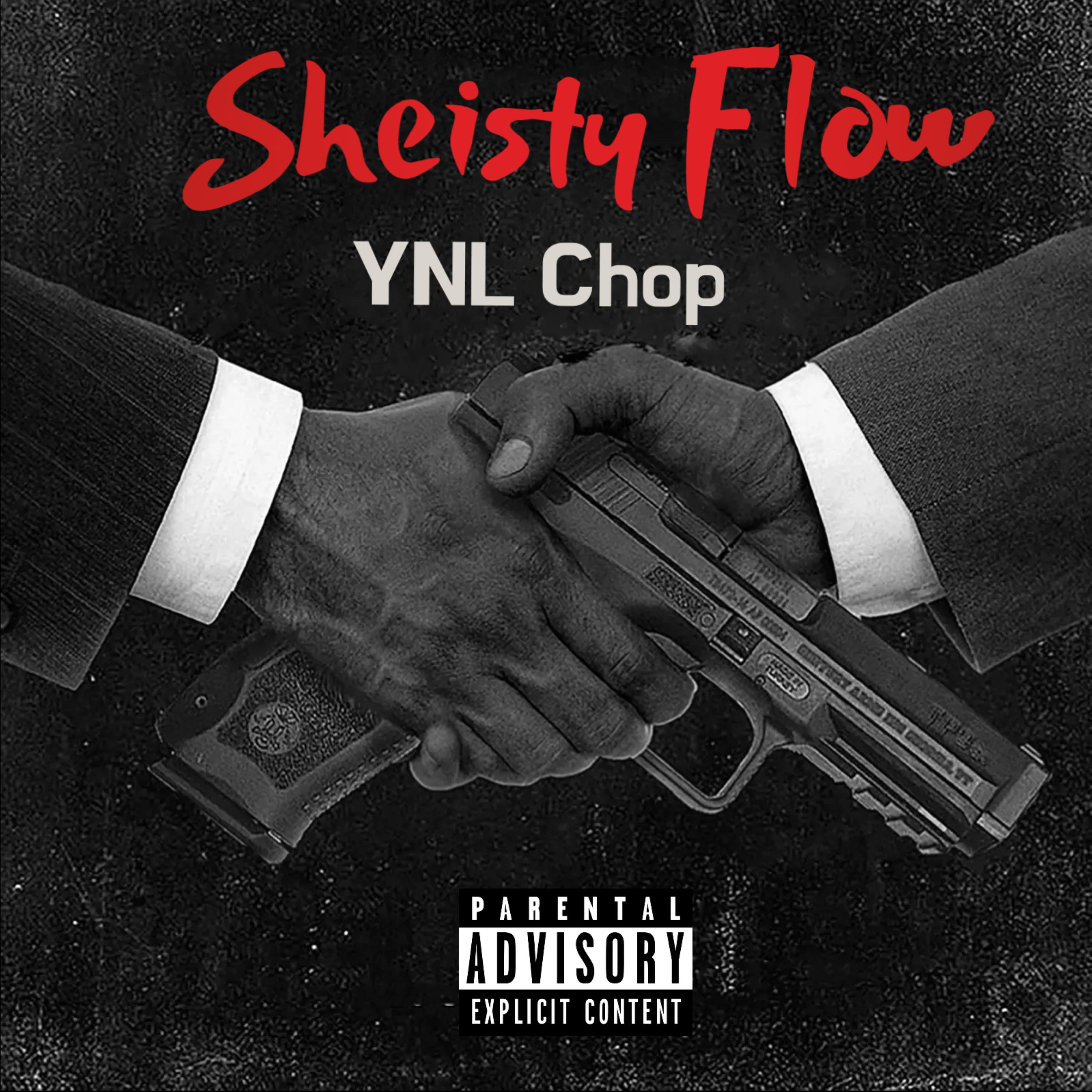 Sheisty Flow artwork