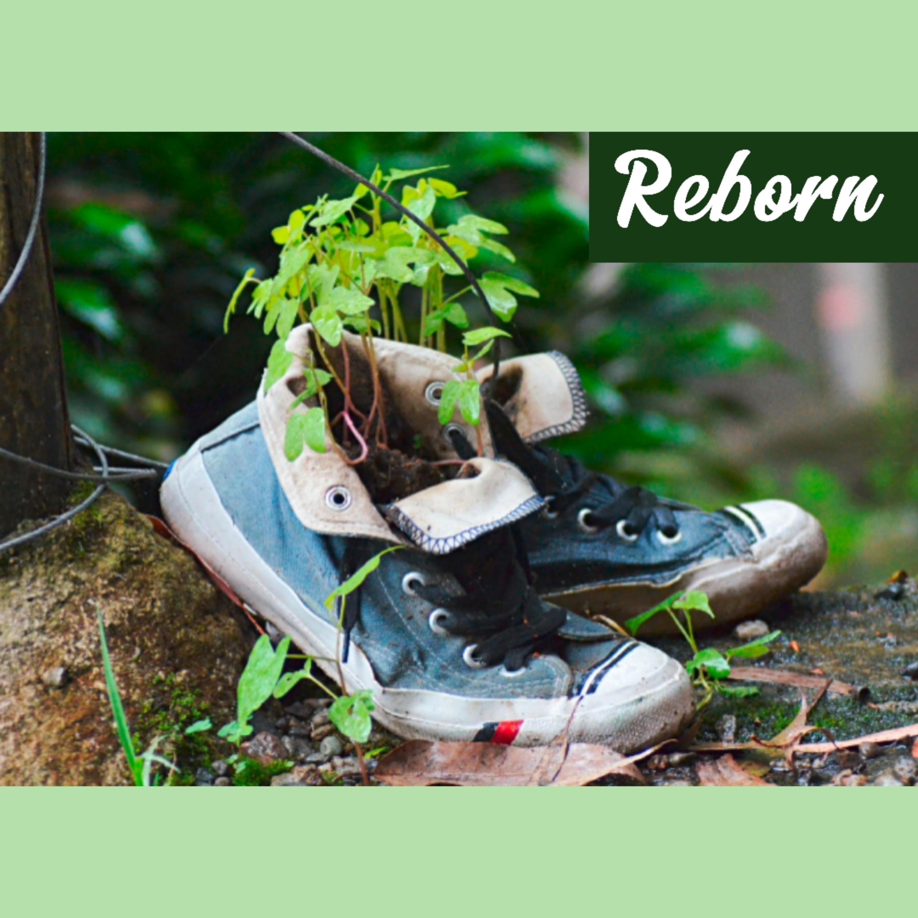 Reborn artwork