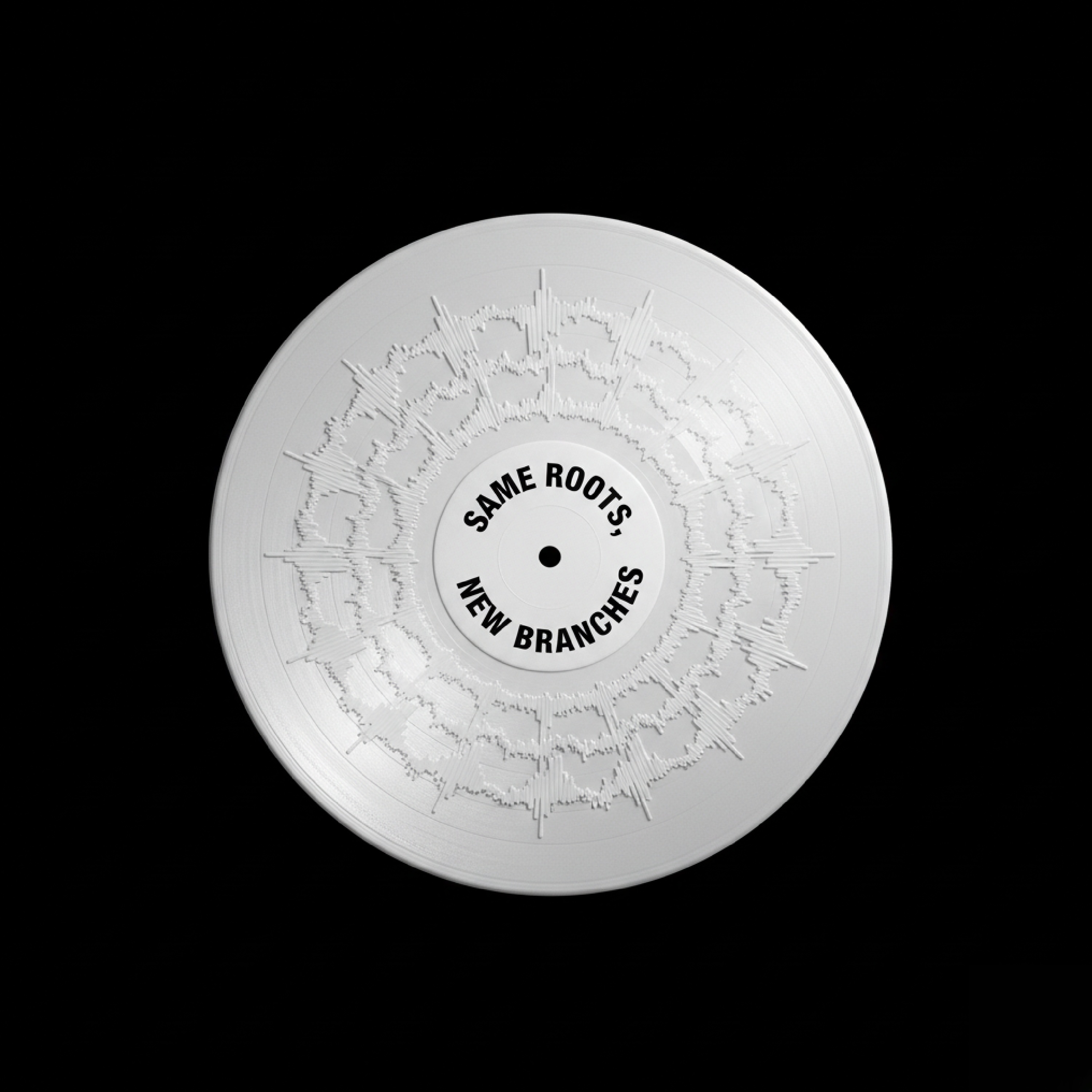 Same Roots, New Branches artwork