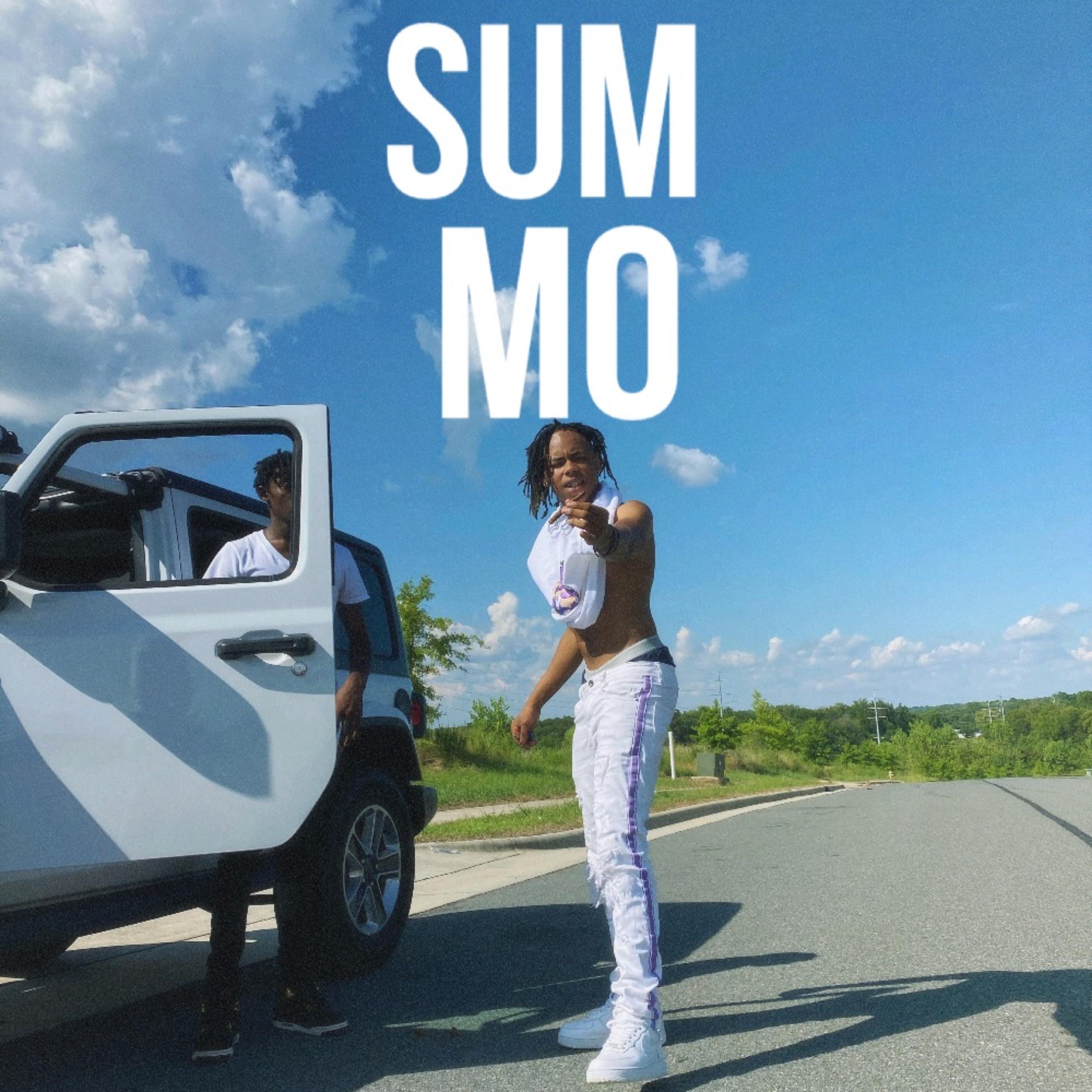 SUM MO artwork