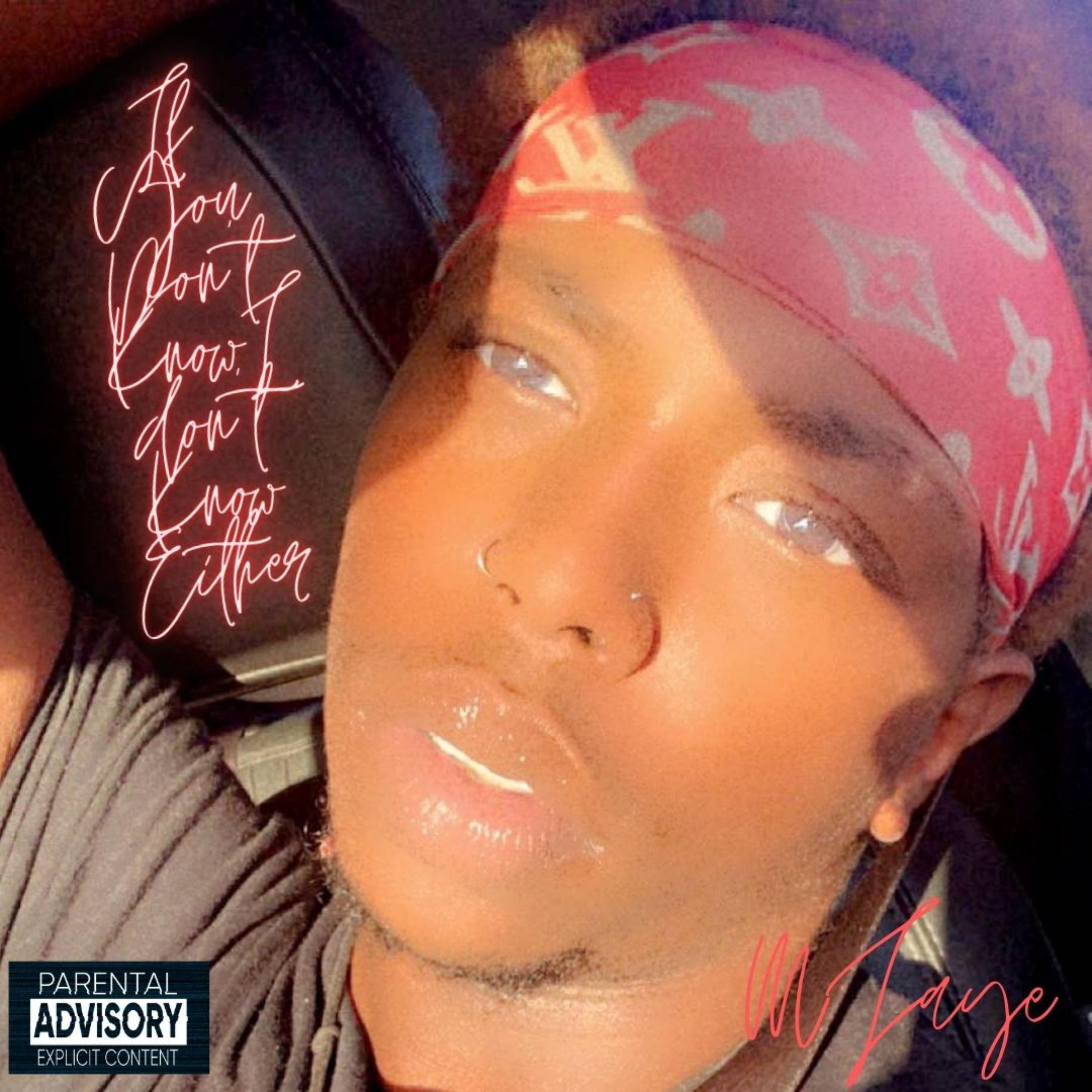 If You Don't Know; I Don't Know Either artwork