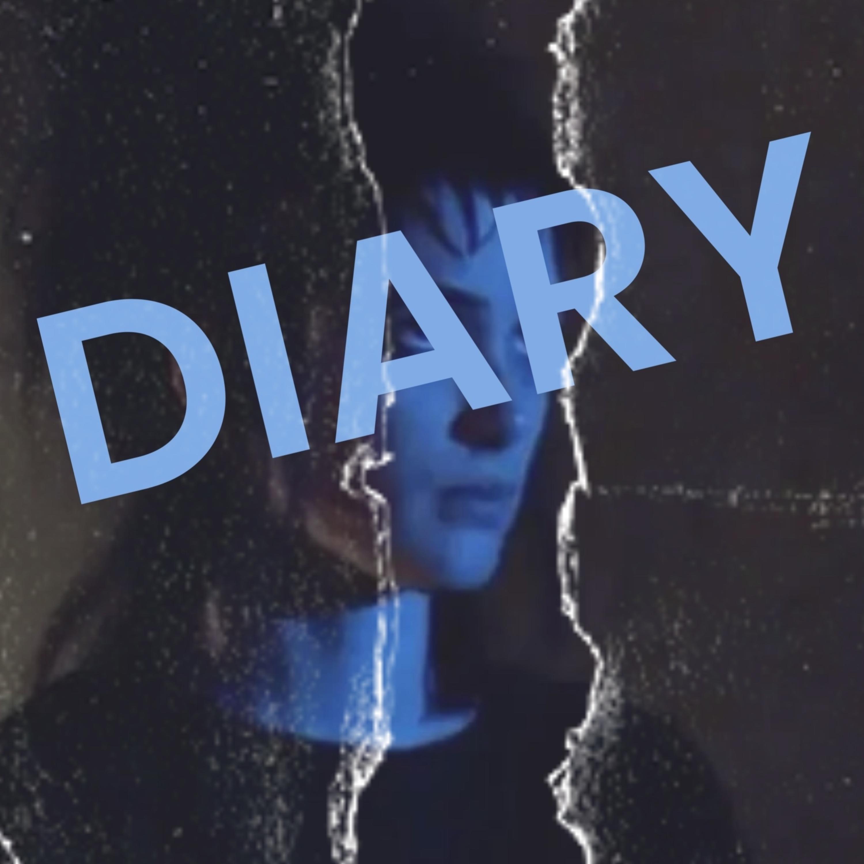 DIARY artwork