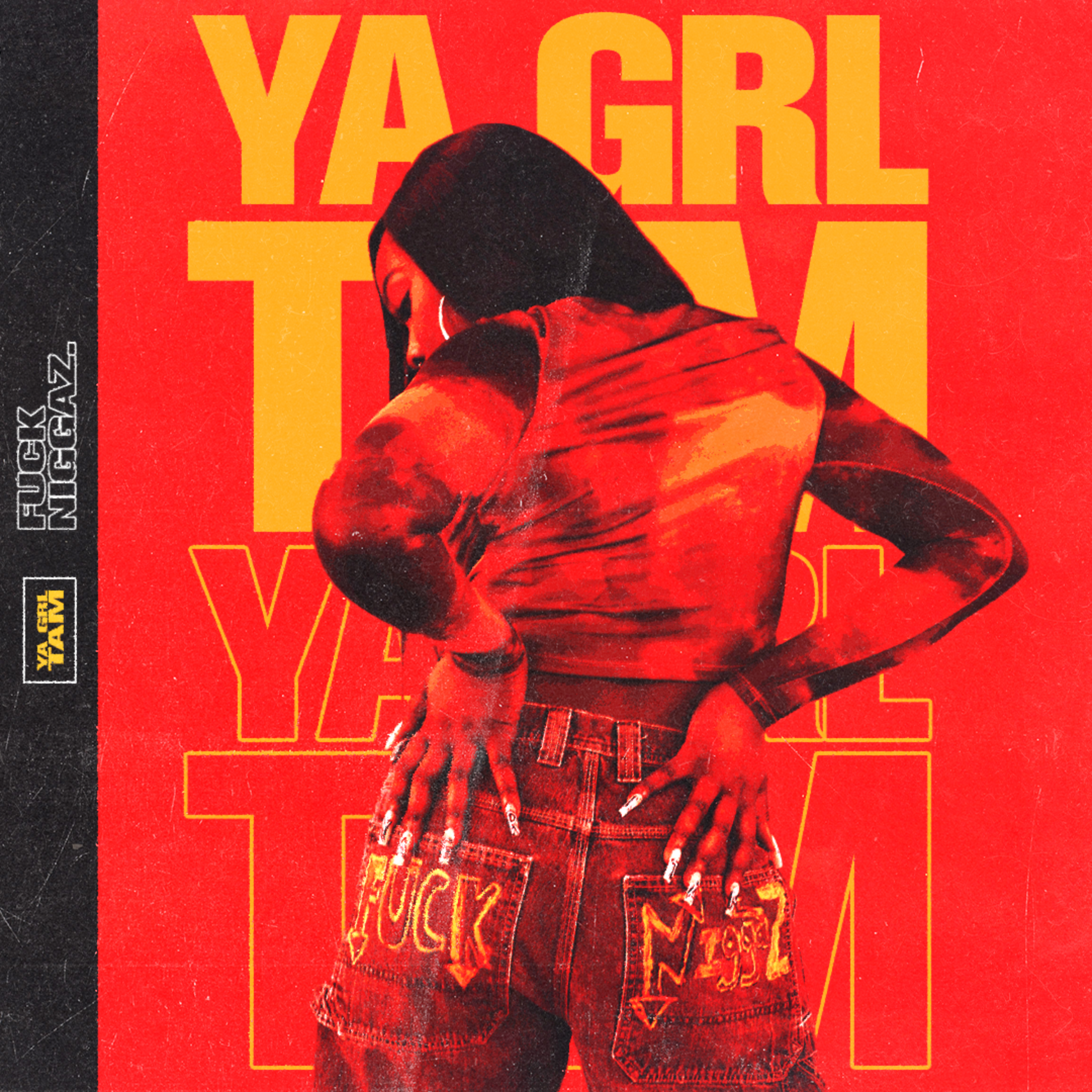FUCK NIGGAZ by YaGrlTam cover art