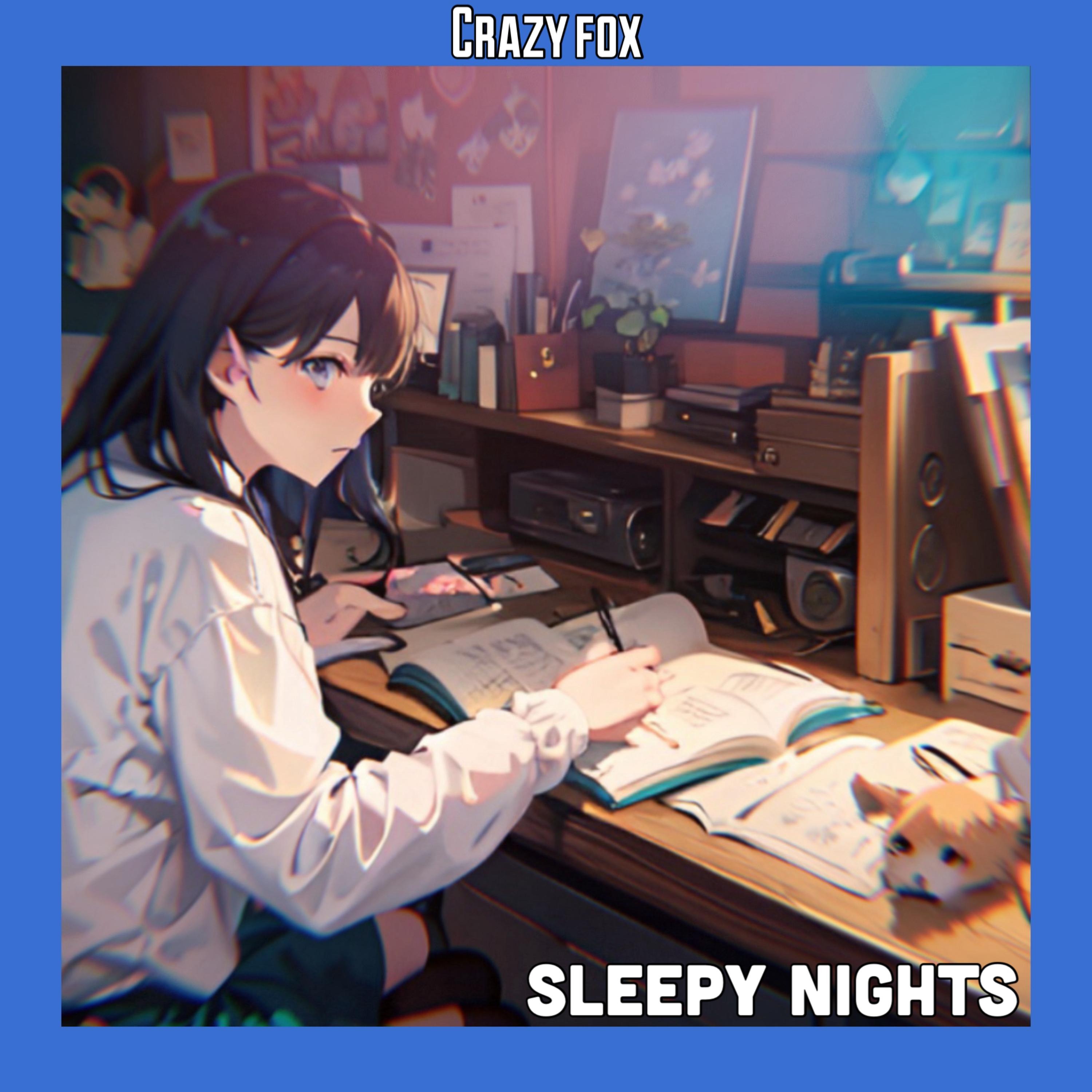 Sleepy Nights artwork