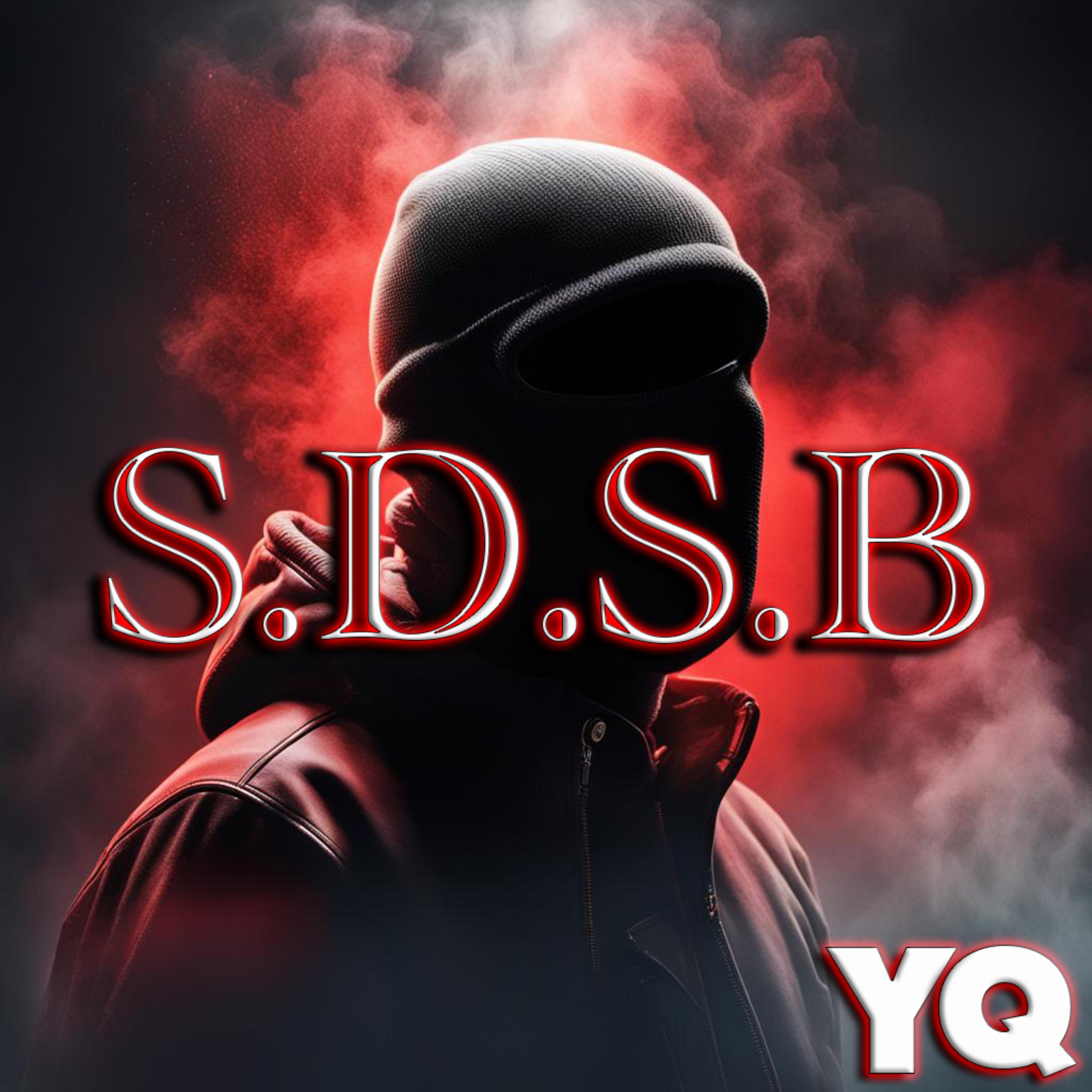 S.D.S.B by YQ cover art