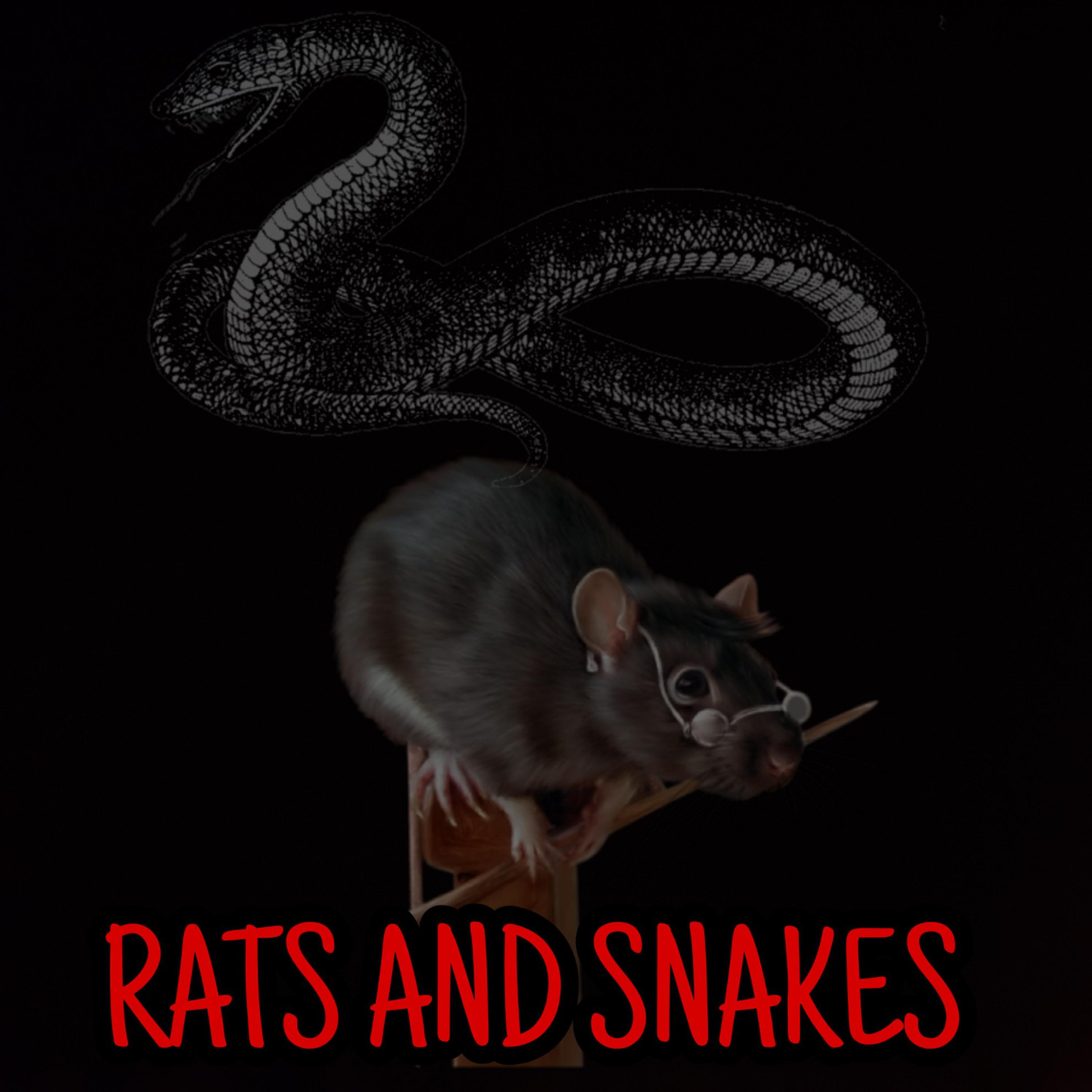 Rats And Snakes artwork