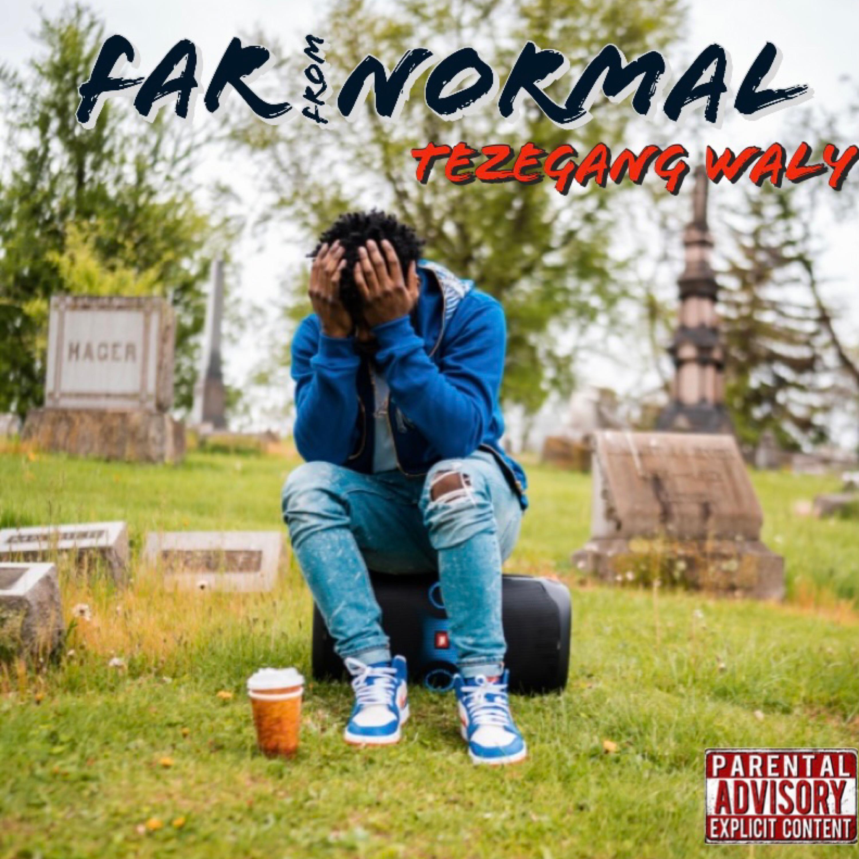 Far From Normal artwork