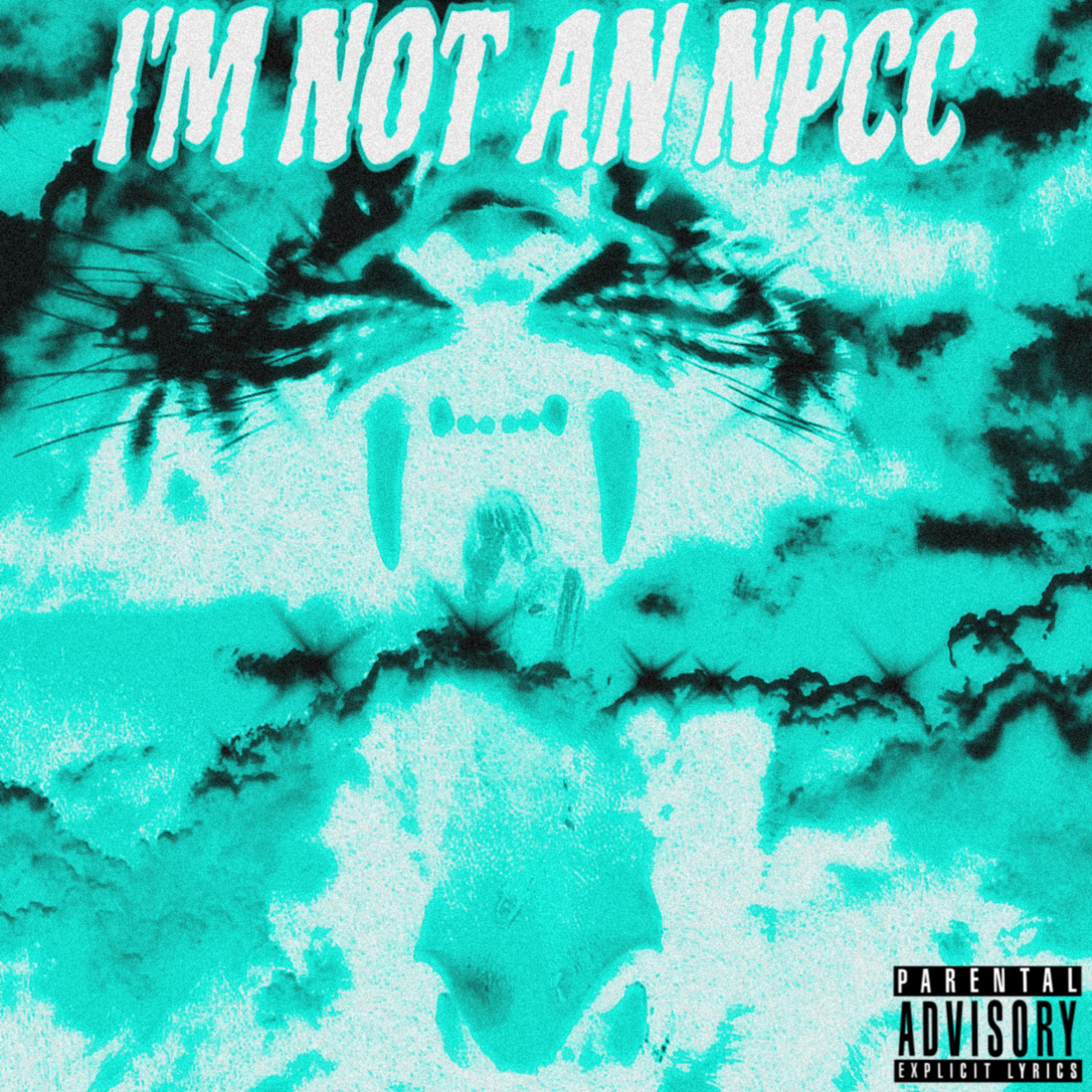 I’m Not An NPCC artwork