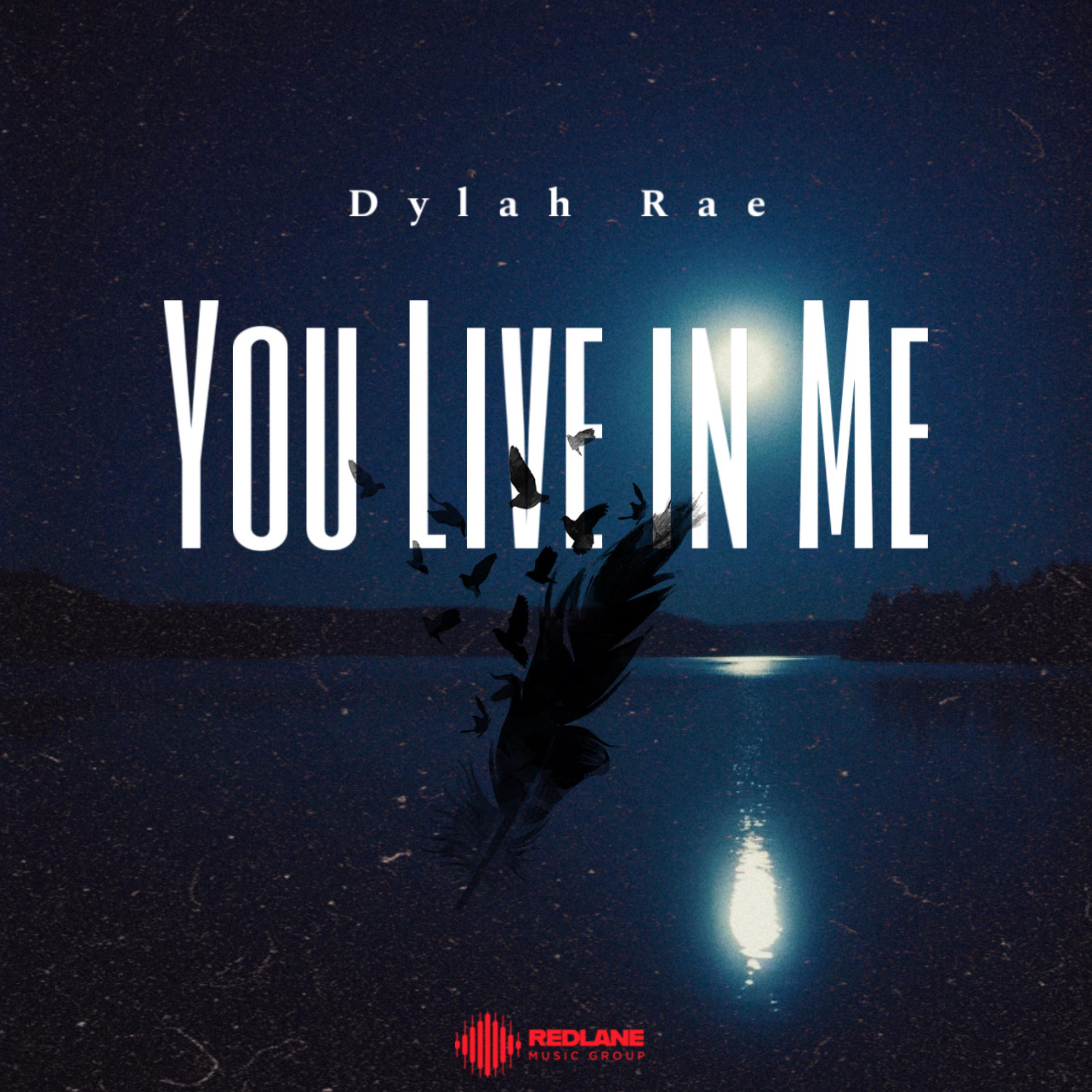 You Live In Me artwork
