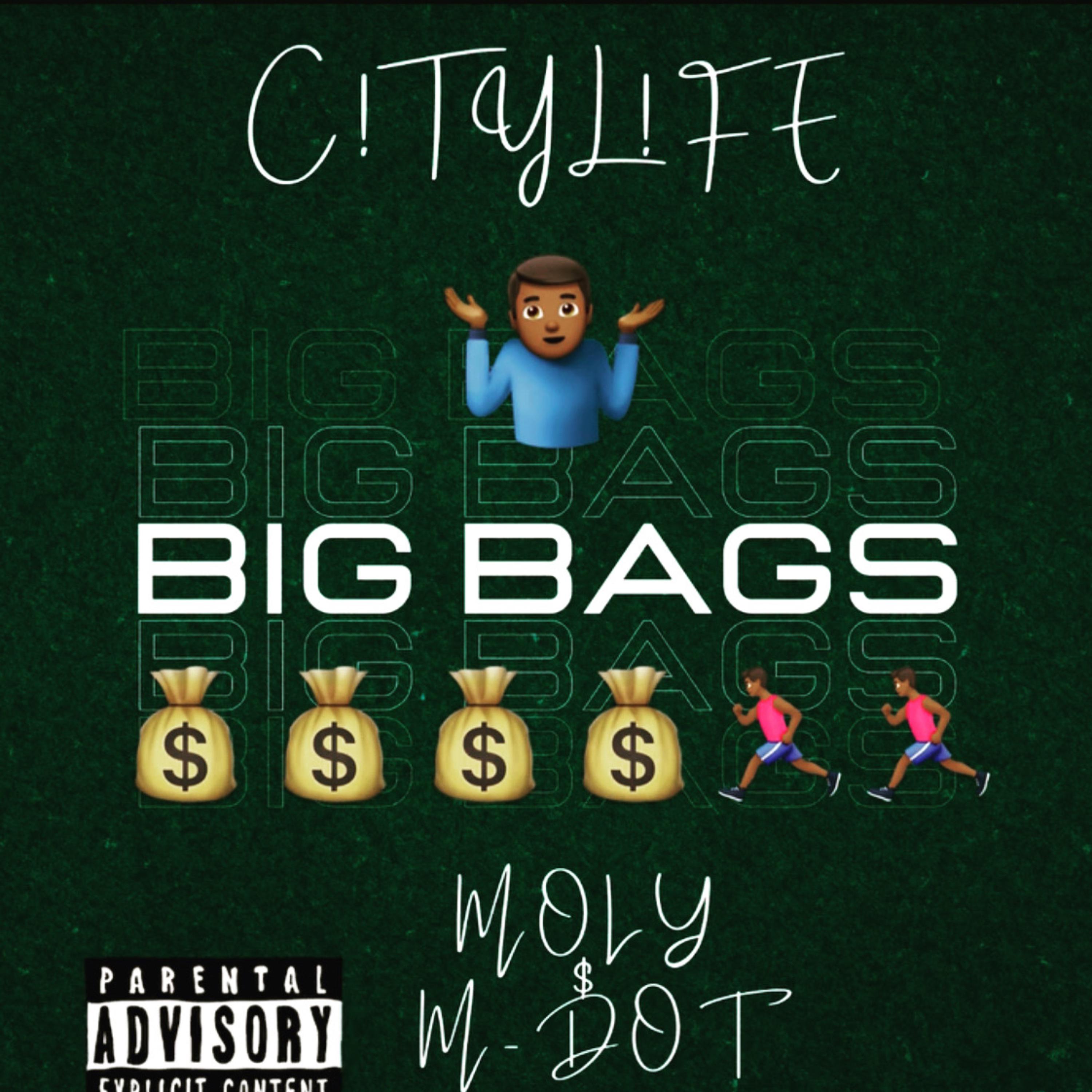BIG BAGS artwork