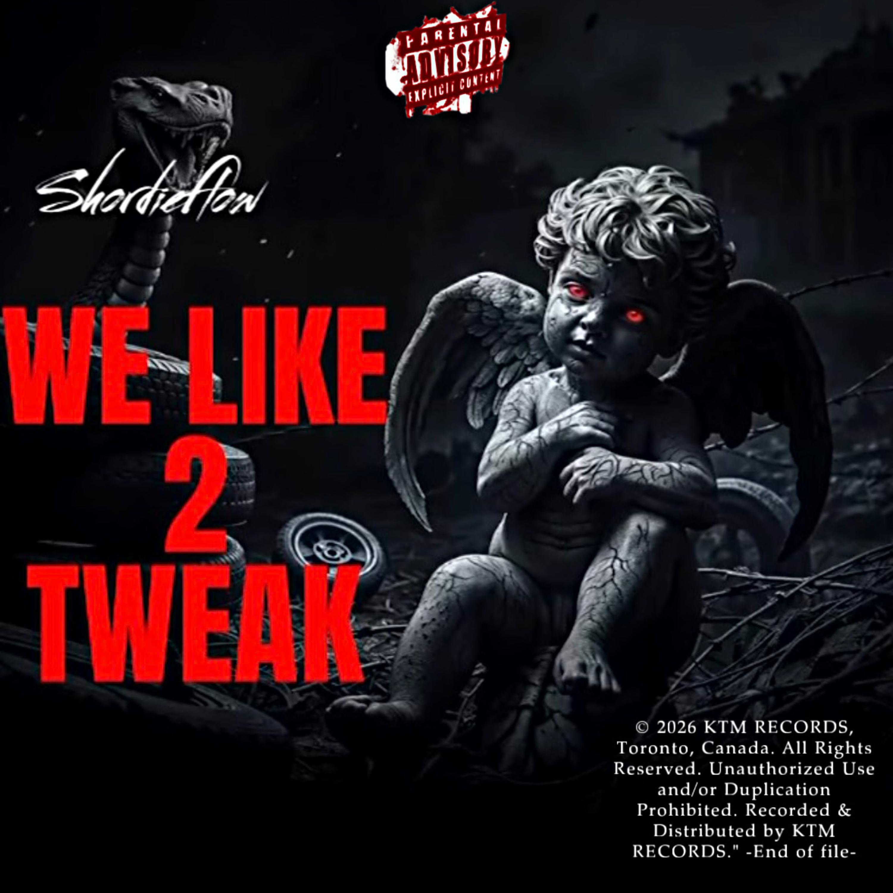 WE LIKE 2 TWEAK by Shordieflow cover art