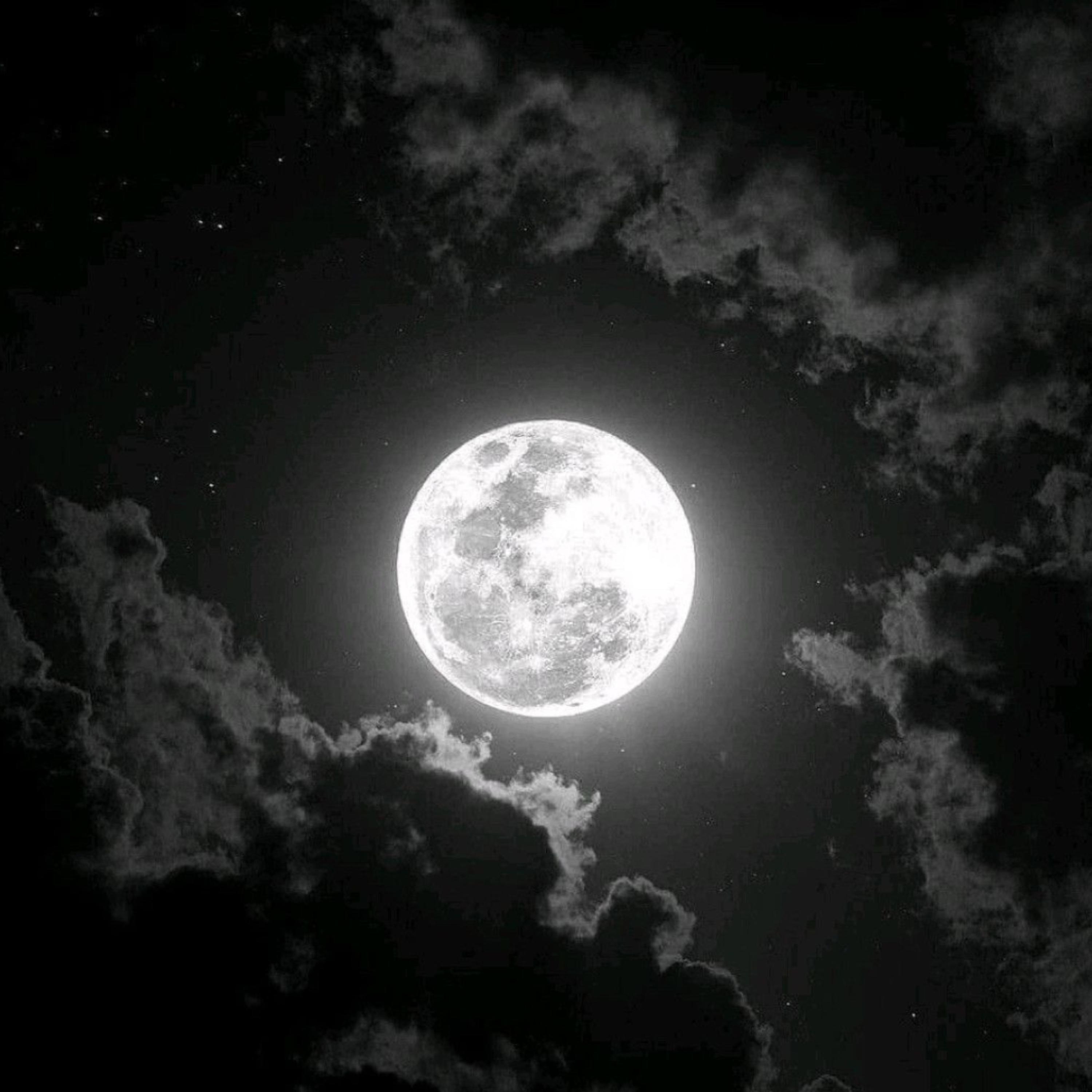 Moonlight artwork