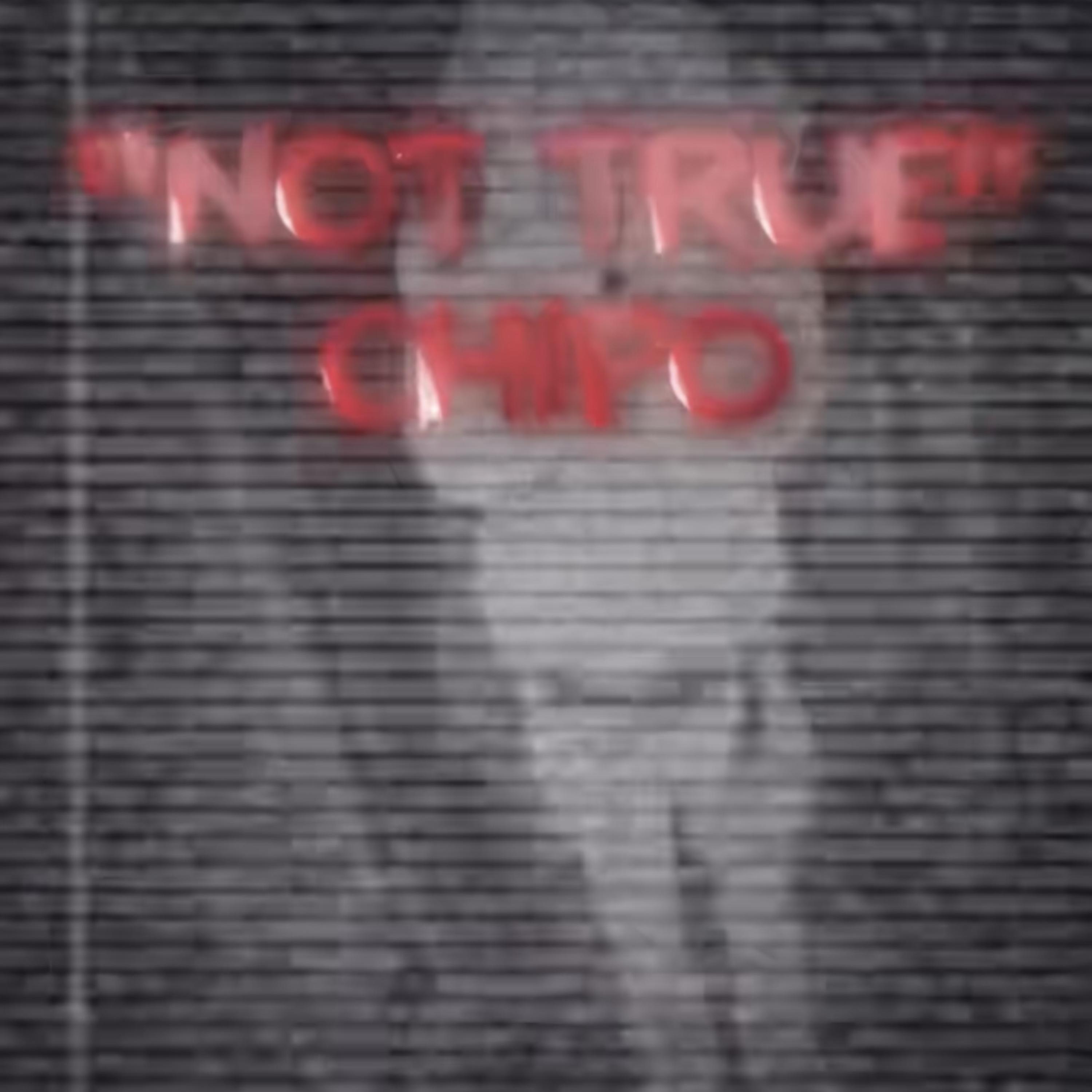 Not True artwork