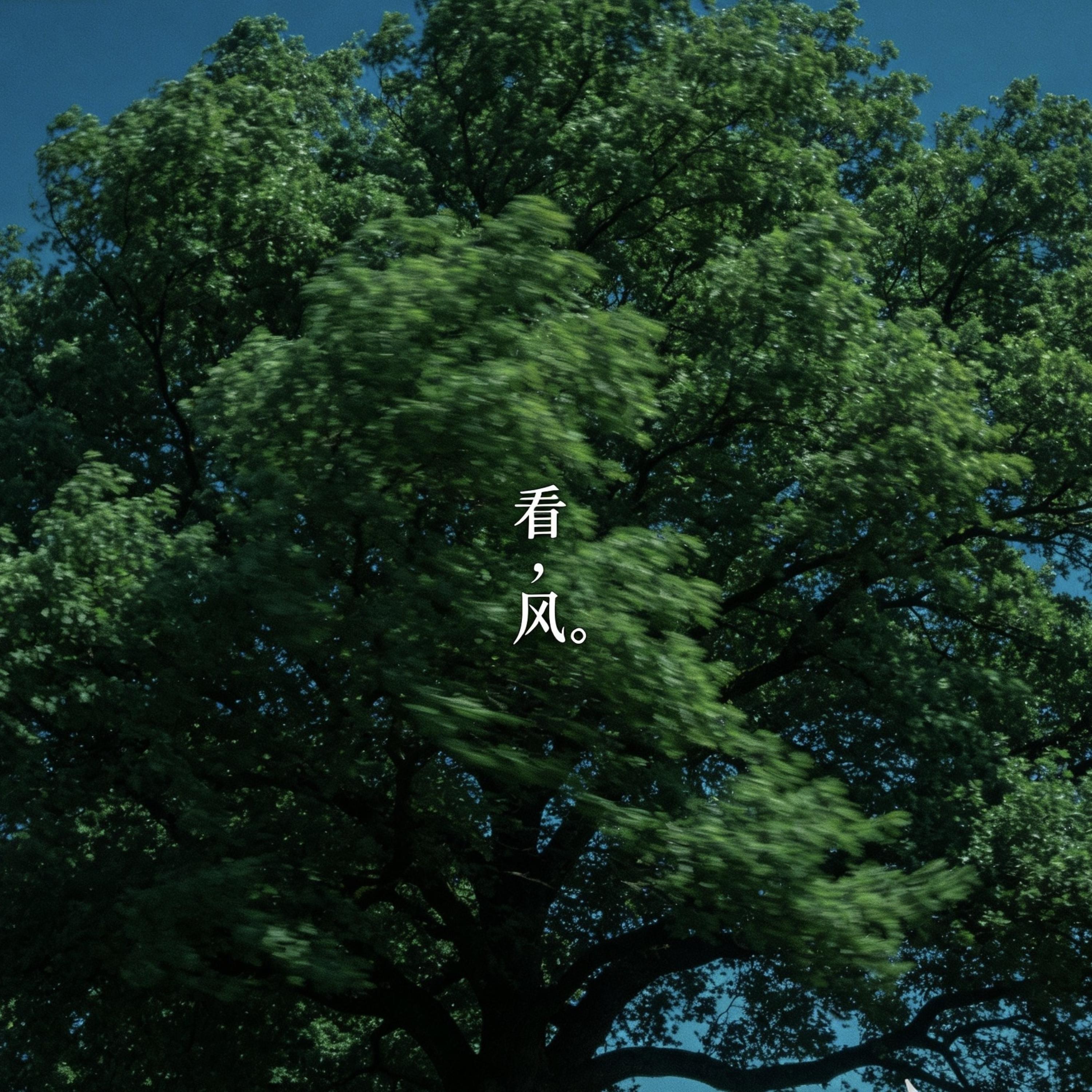 人们把难言的爱都埋入土壤里 by 钱来 cover art