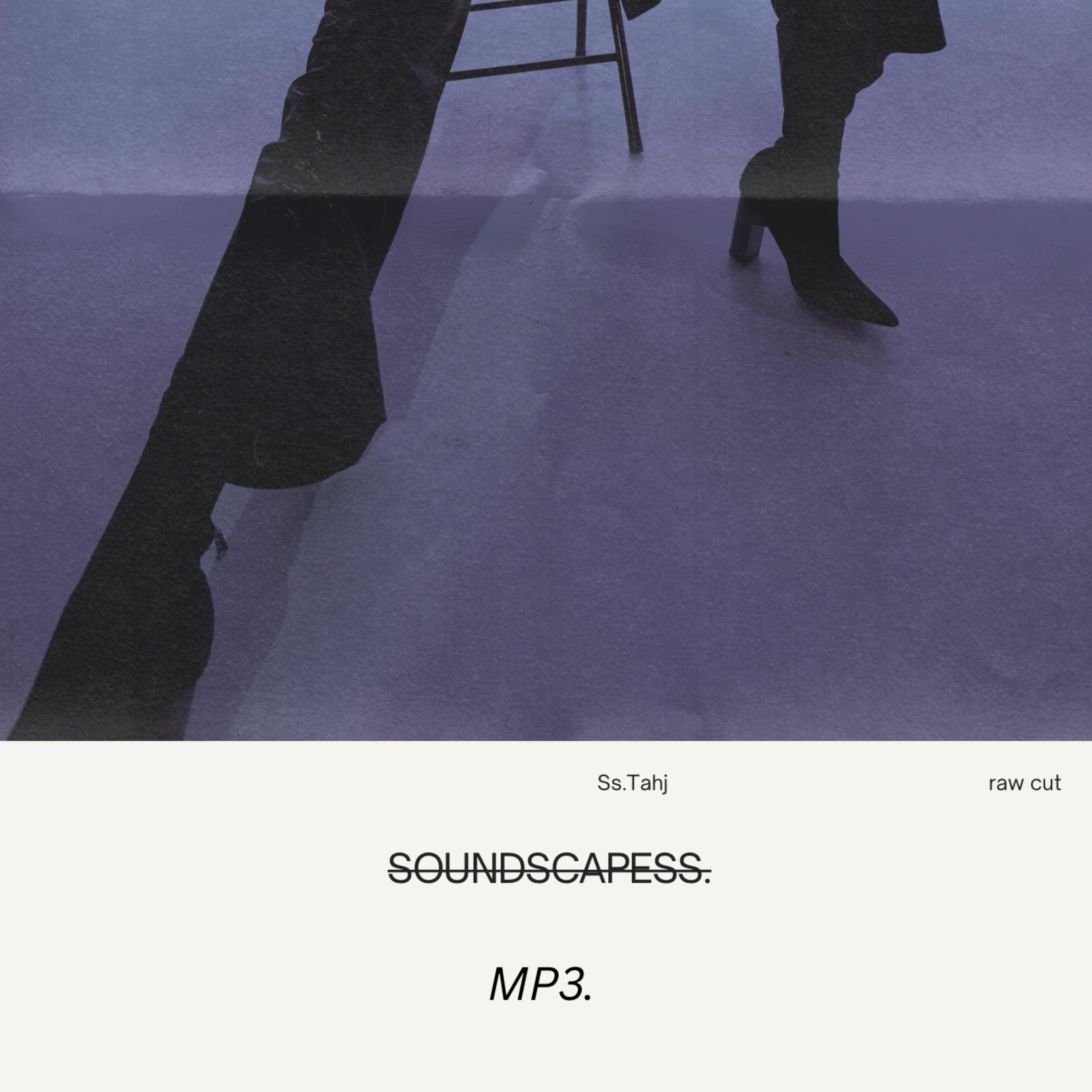 SOUNDSCAPESS. artwork