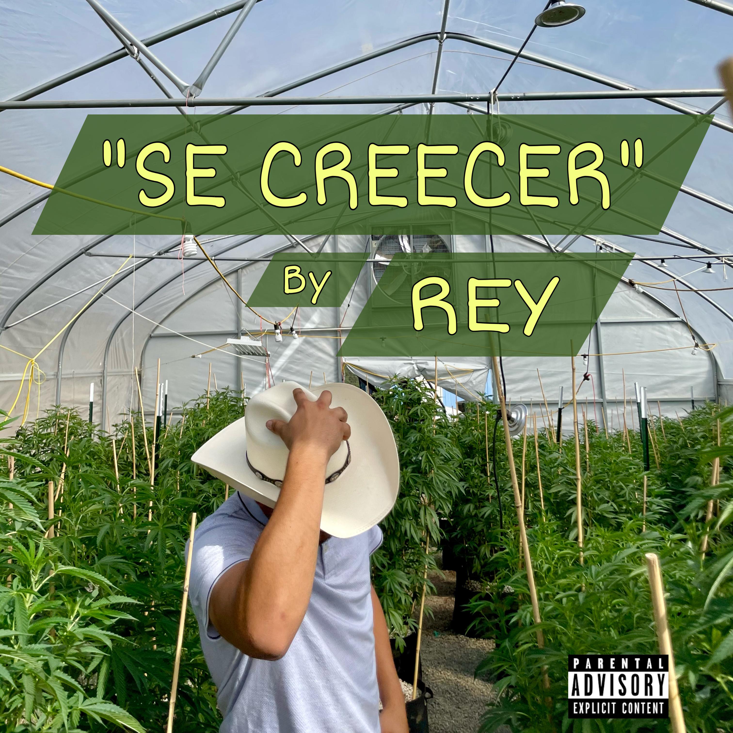 Se Creecer artwork