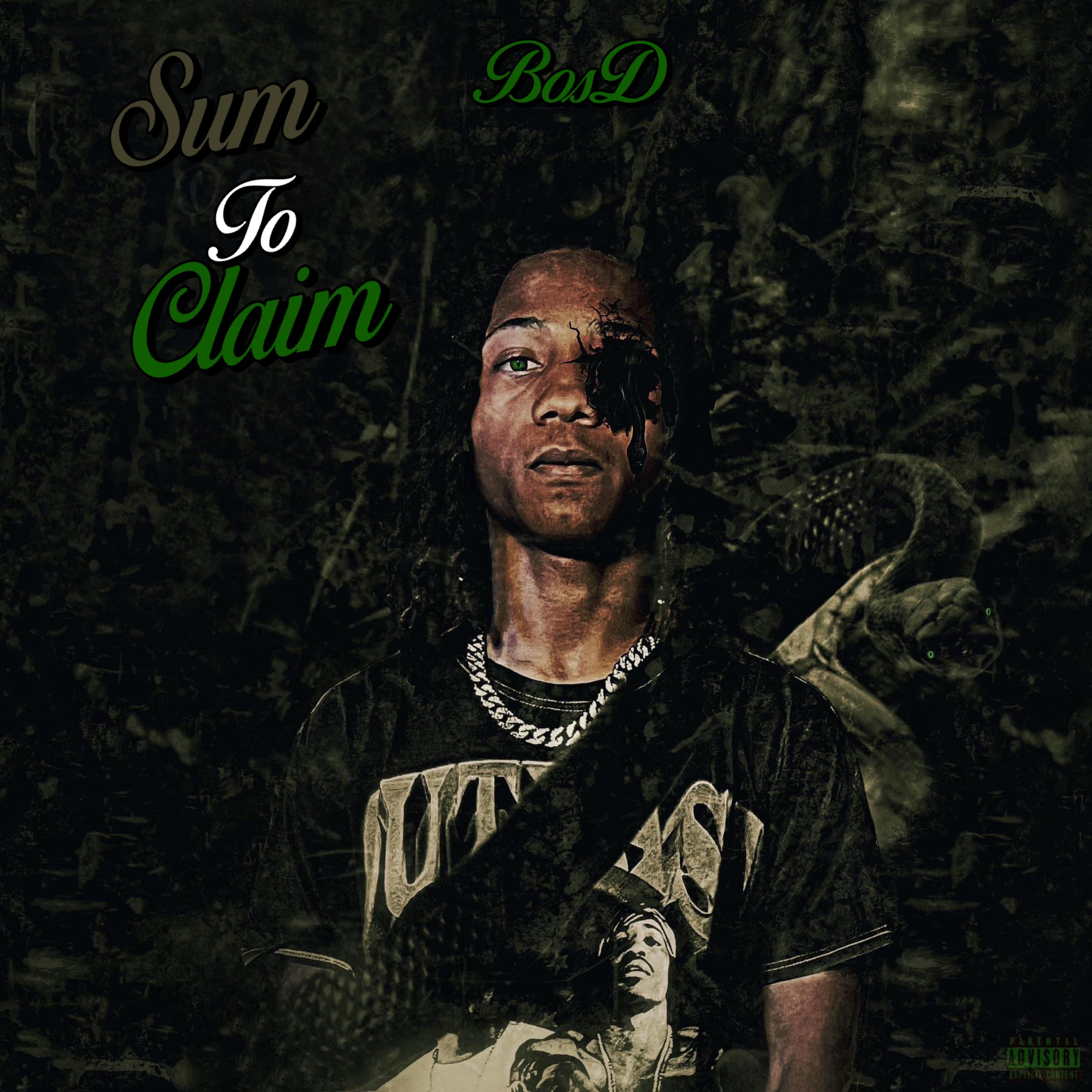 Sum To Claim artwork