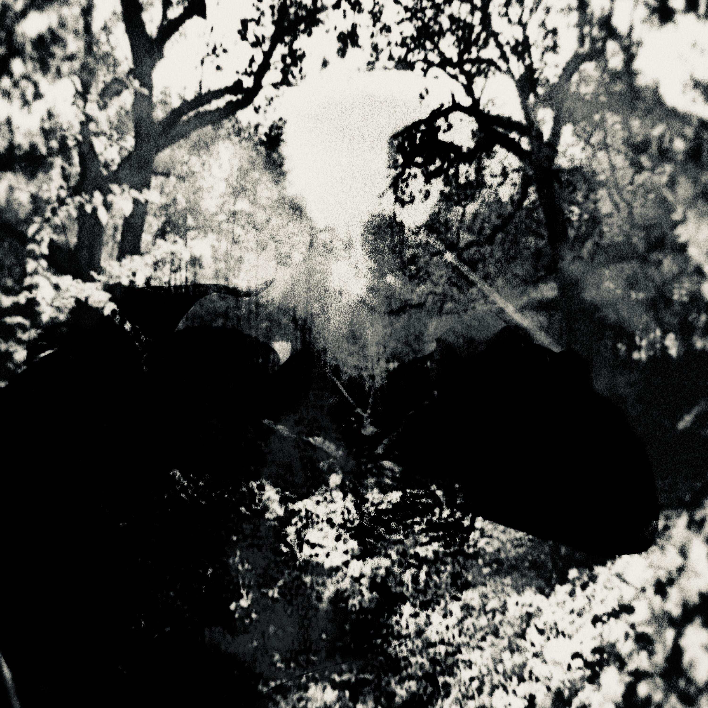 Still Here artwork