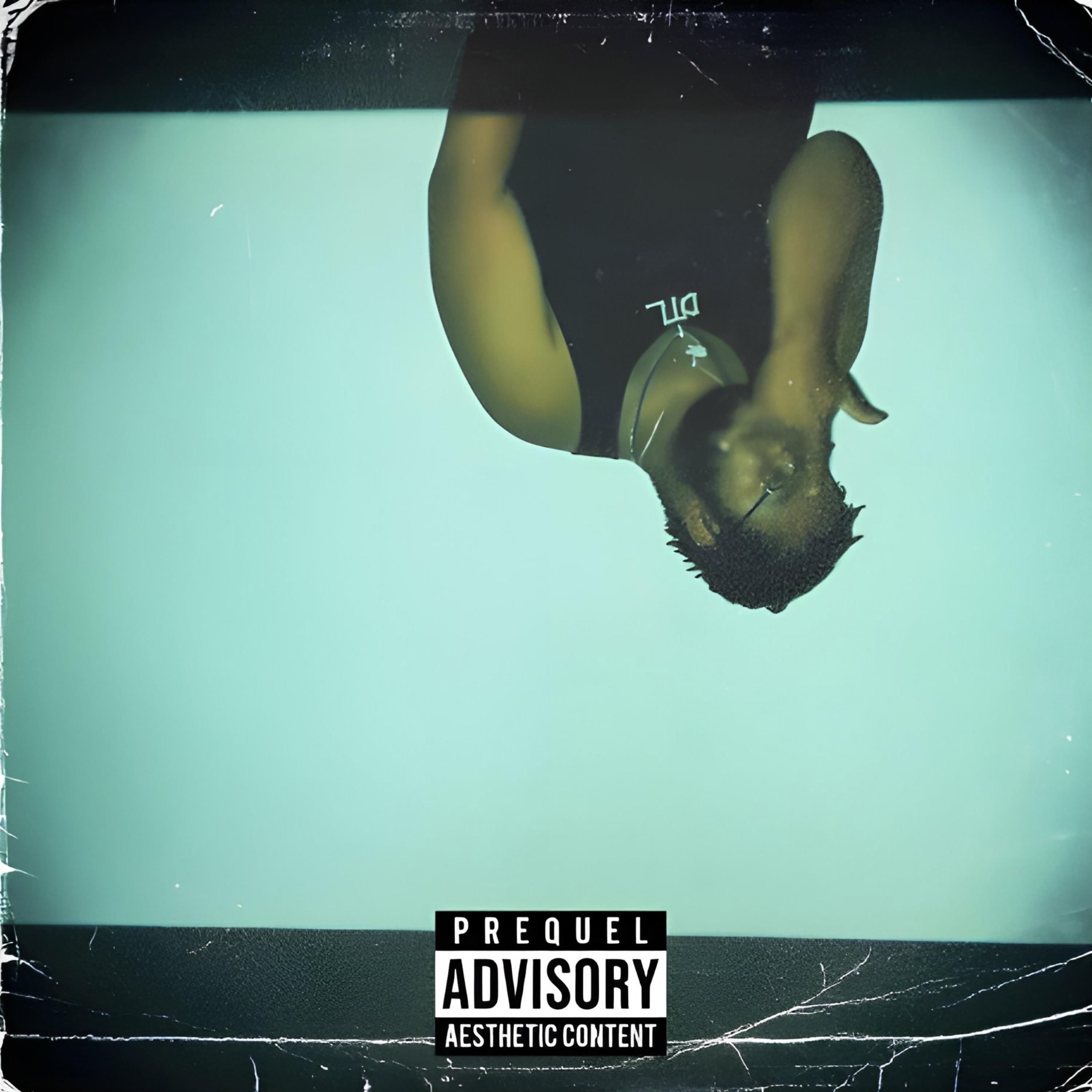 Desired To Live DTL artwork