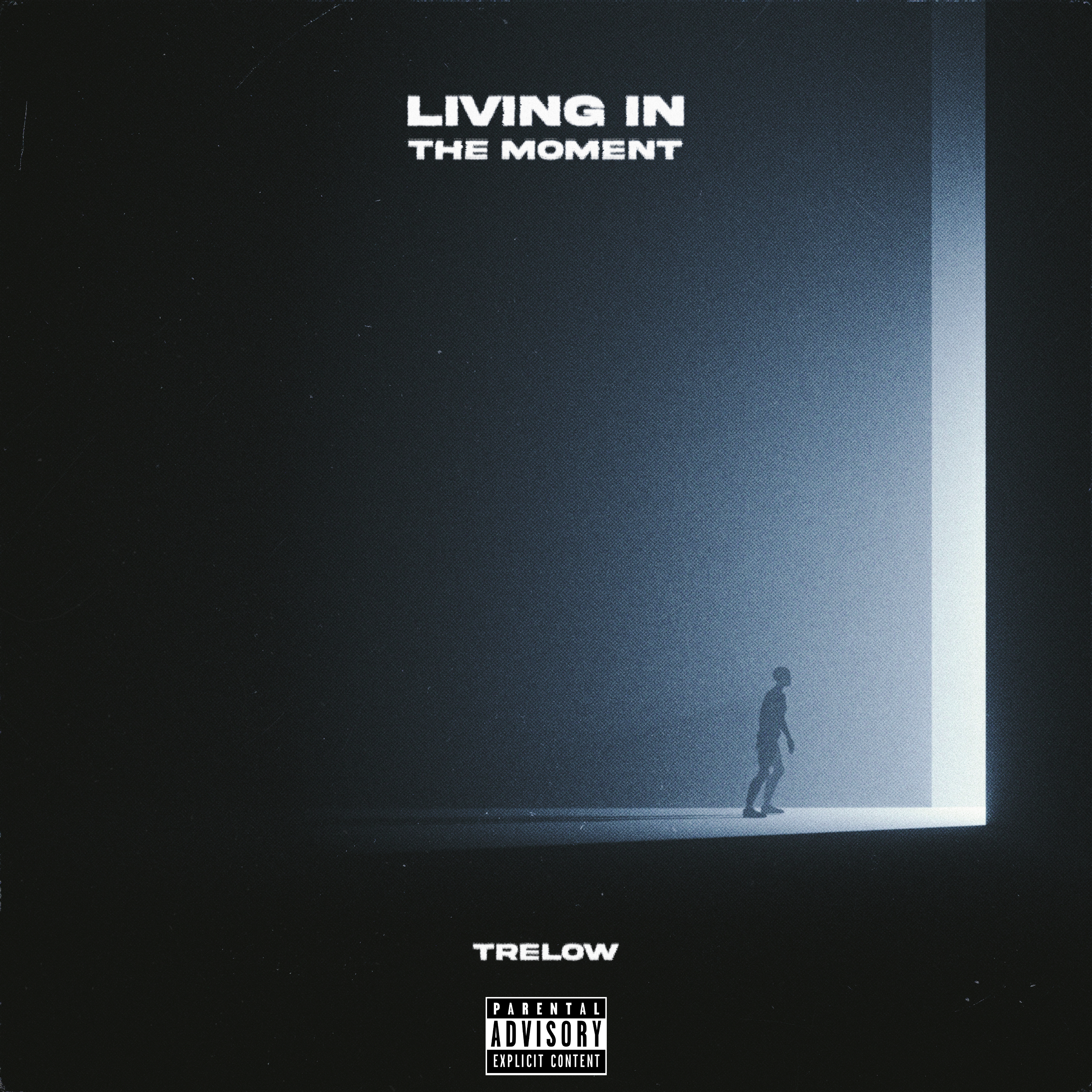 Living In The Moment artwork