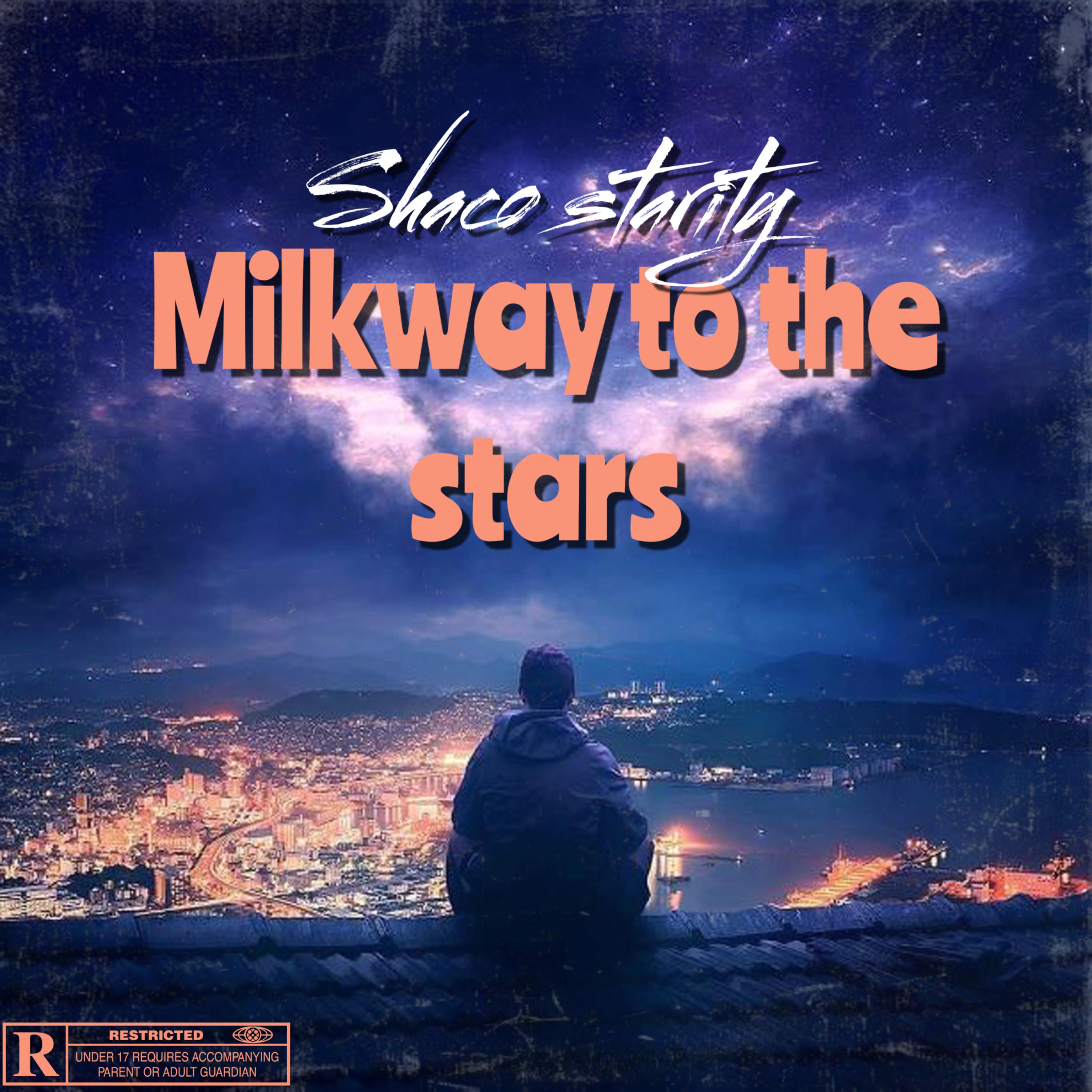 Milkway to the stars artwork