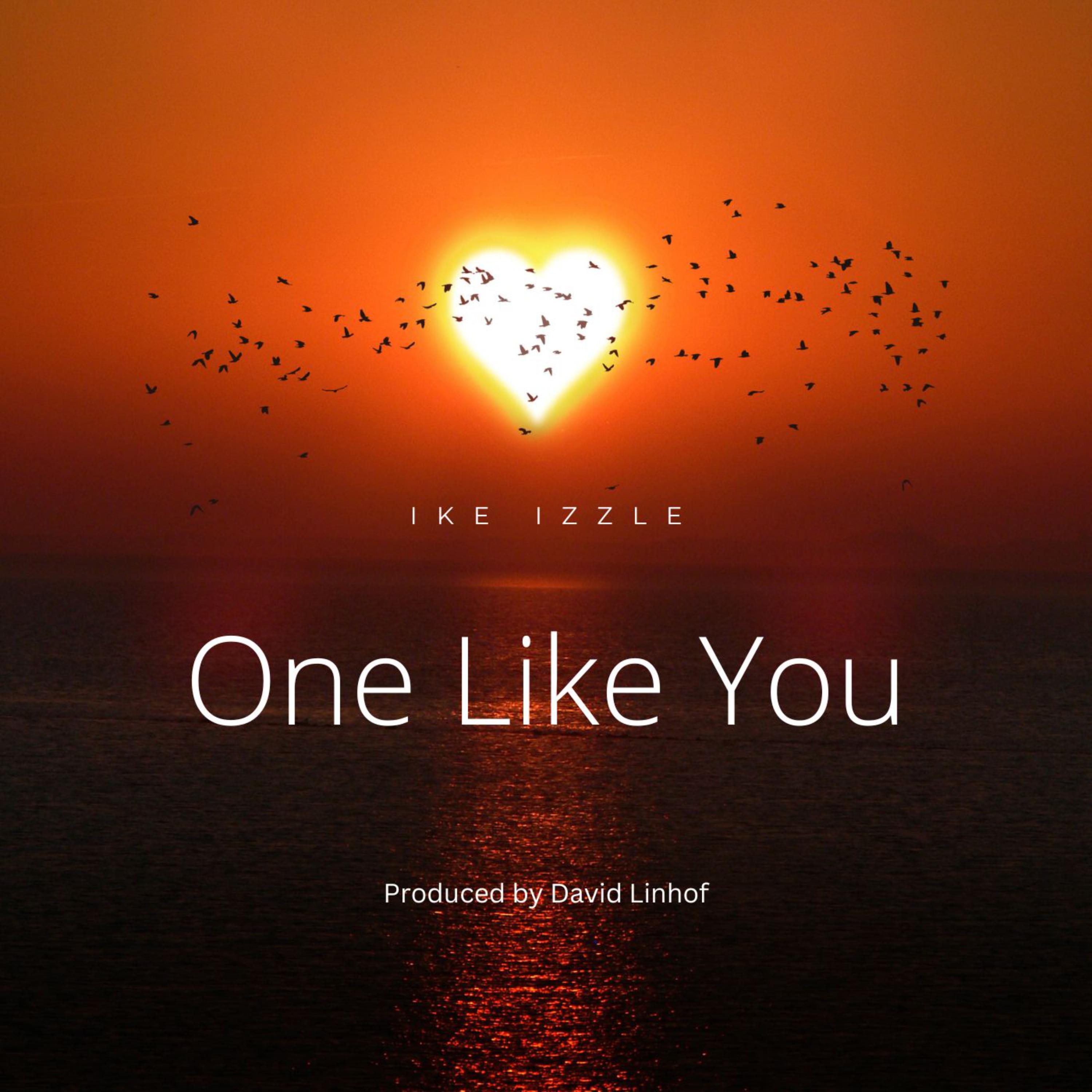 One Like You artwork