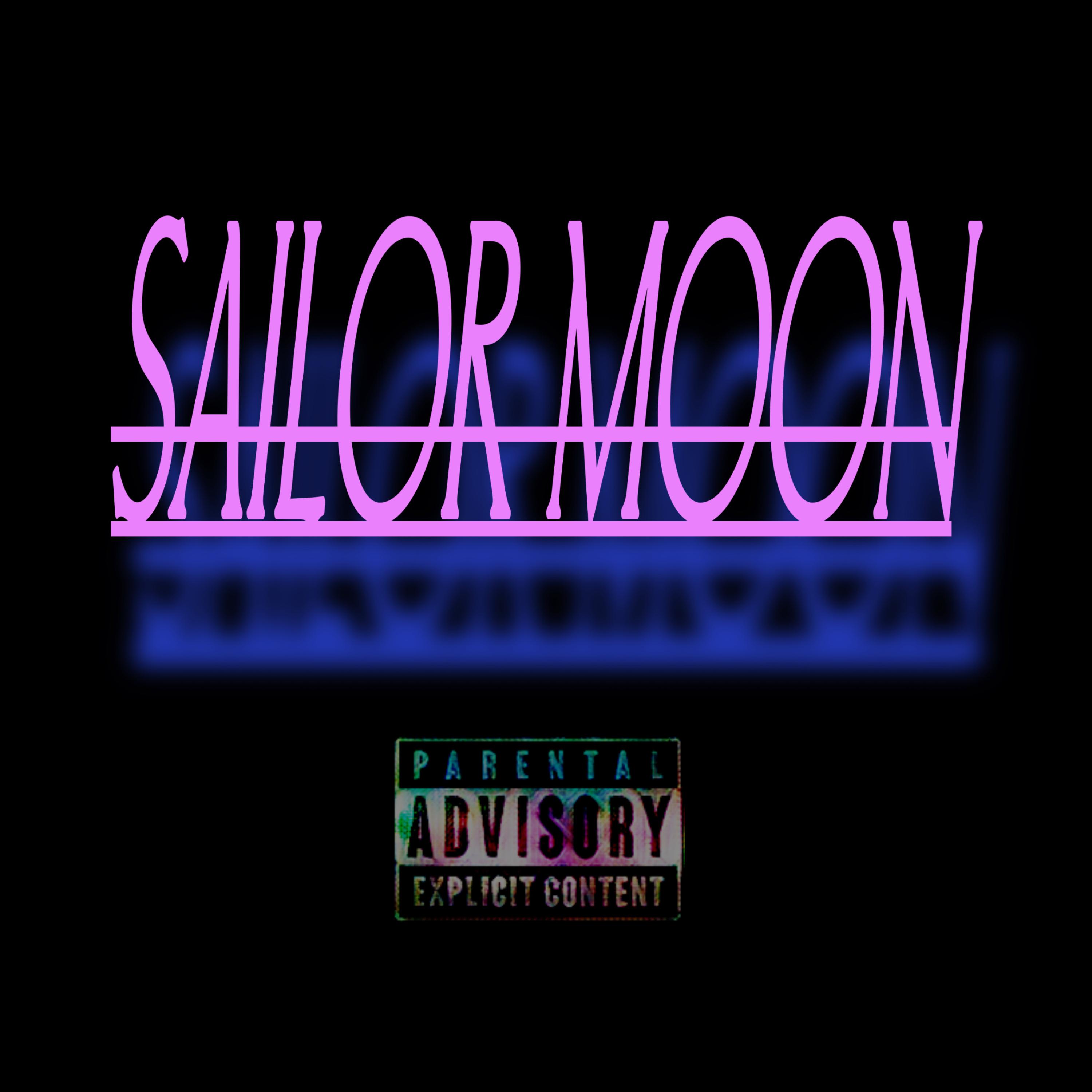 SAILOR MOON artwork