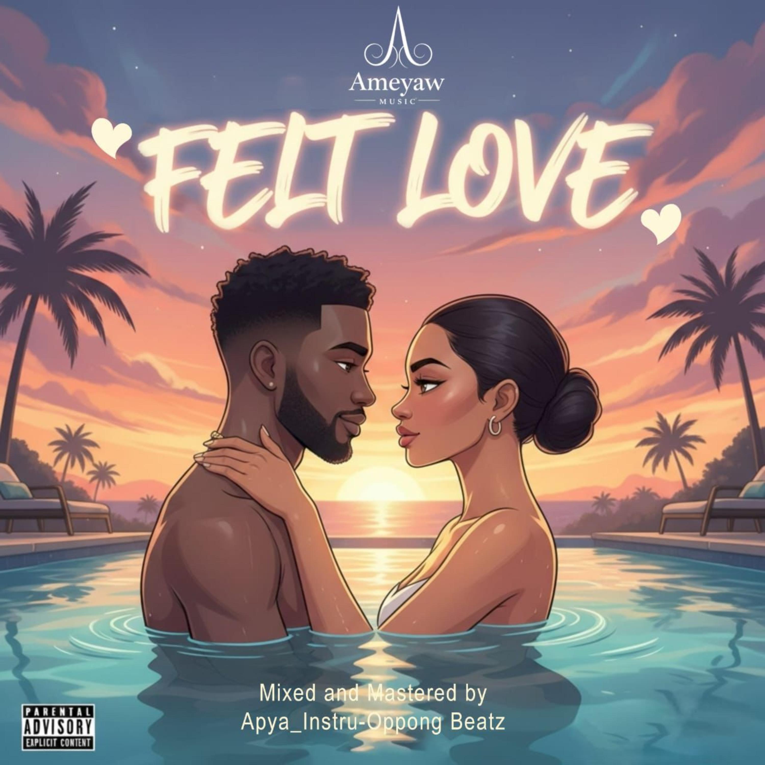 Felt Love artwork